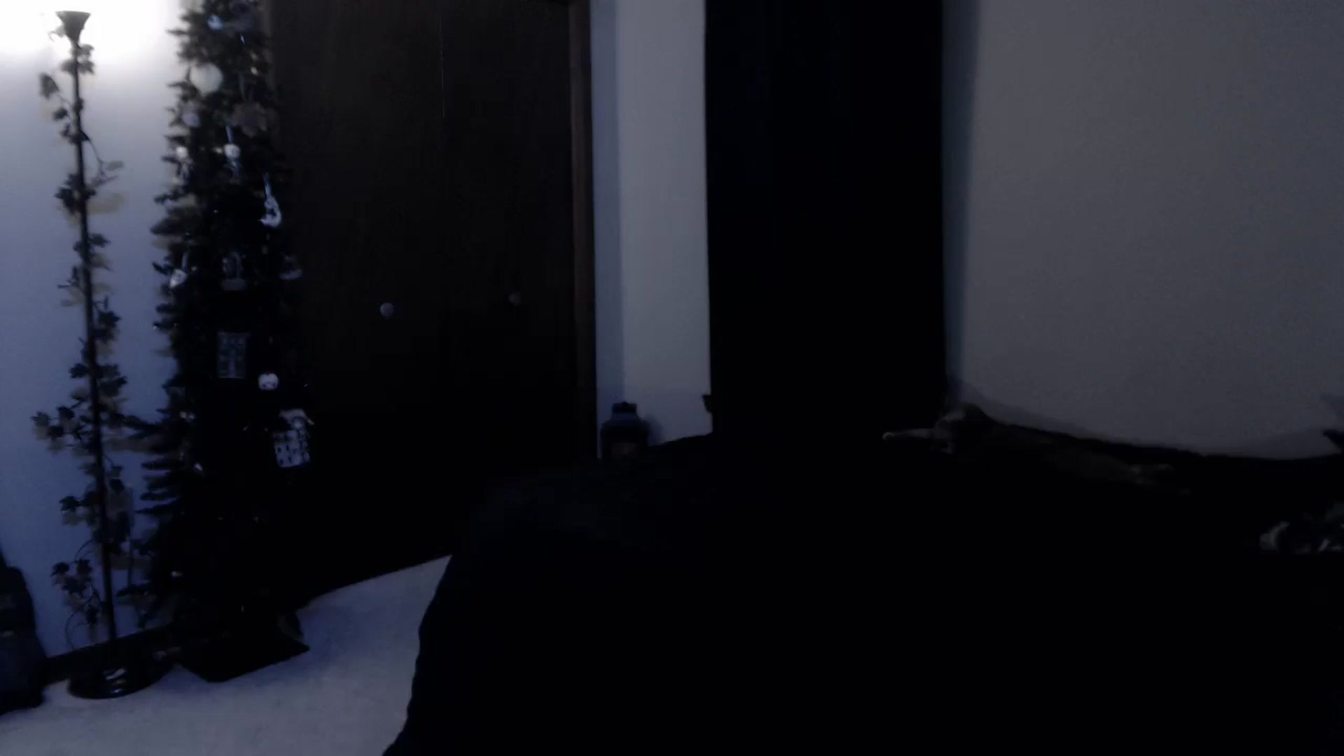 Gallery image thumbnail from LadyMarceline's myfreecams stream on, 11/30/2025, 07:07 image 8 of 20
