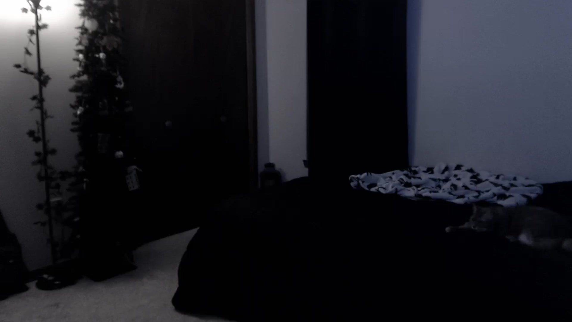 Gallery image thumbnail from LadyMarceline's myfreecams stream on, 01/03/2026, 07:04 image 16 of 20