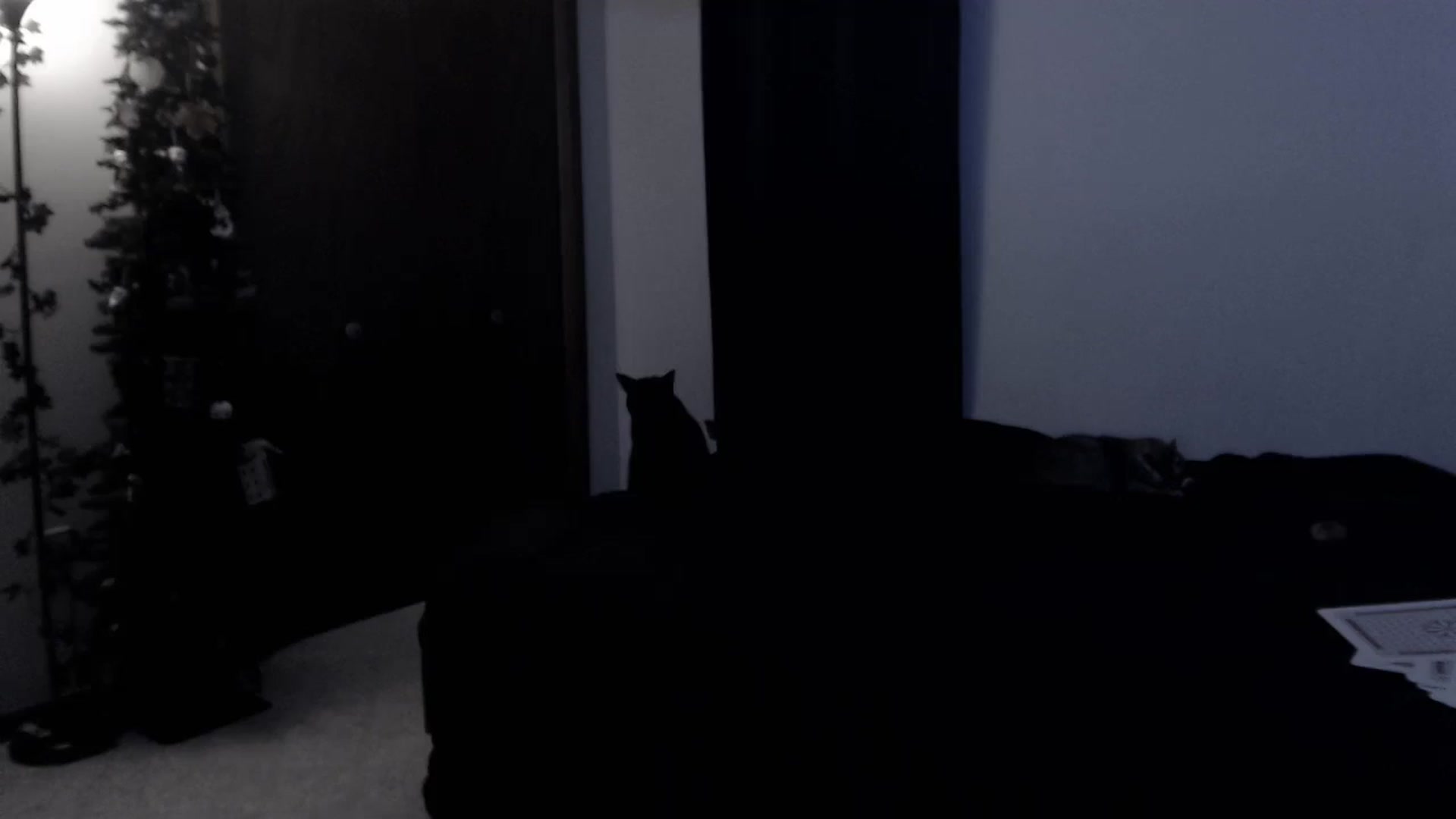 Gallery image thumbnail from LadyMarceline's myfreecams stream on, 01/17/2026, 07:33 image 4 of 20