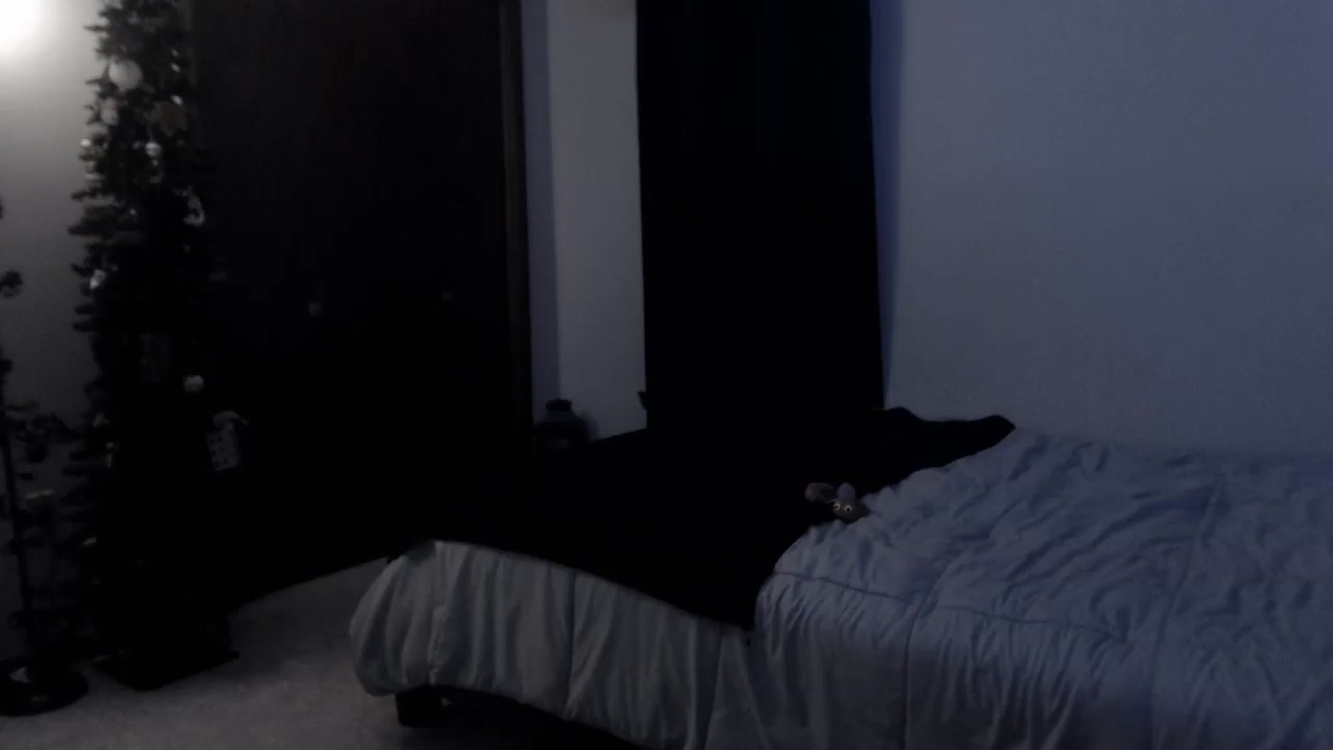 Gallery image thumbnail from LadyMarceline's myfreecams stream on, 02/15/2026, 07:24 image 8 of 20
