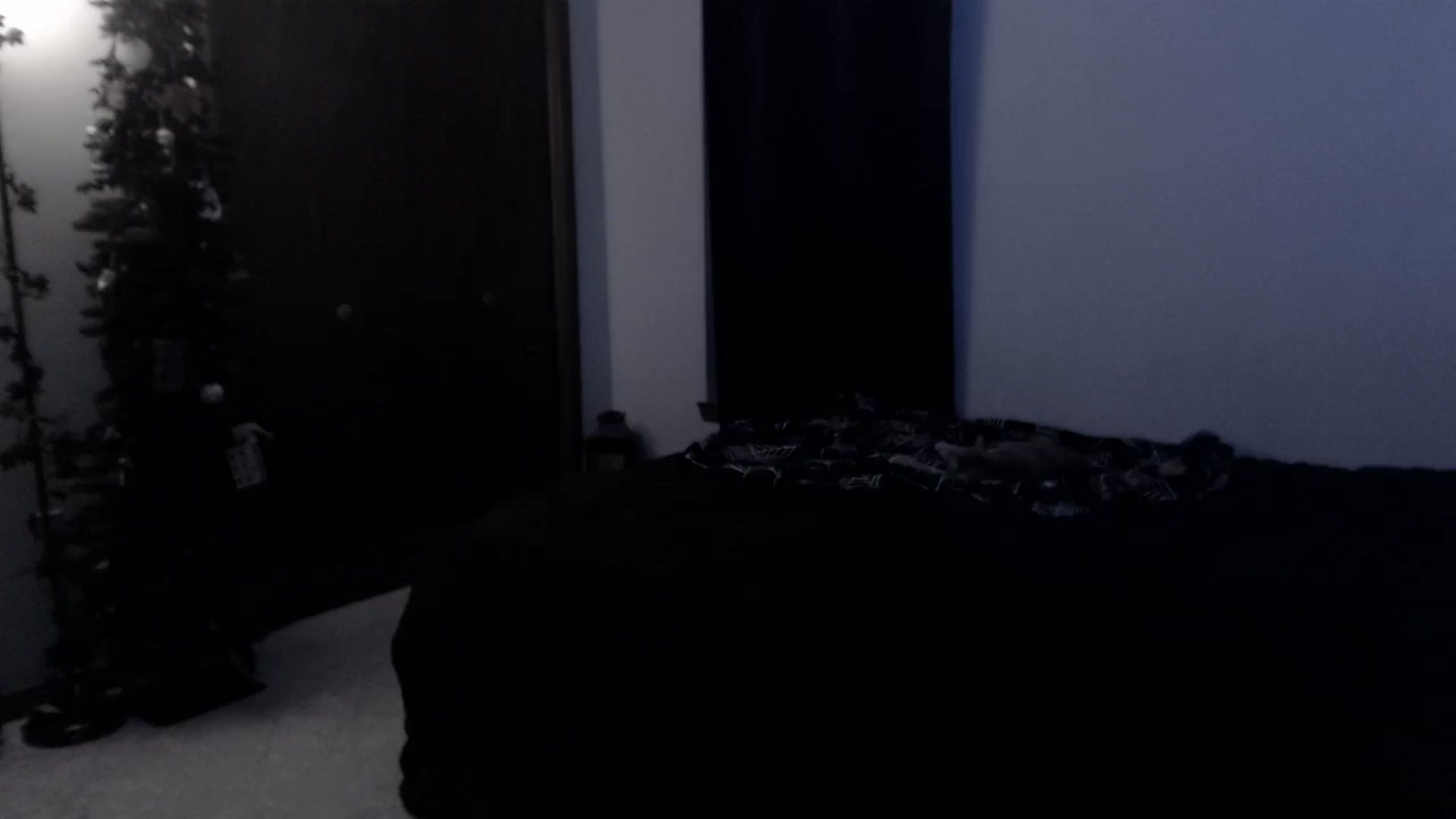 Gallery image thumbnail from LadyMarceline's myfreecams stream on, 03/11/2026, 05:50 image 18 of 20