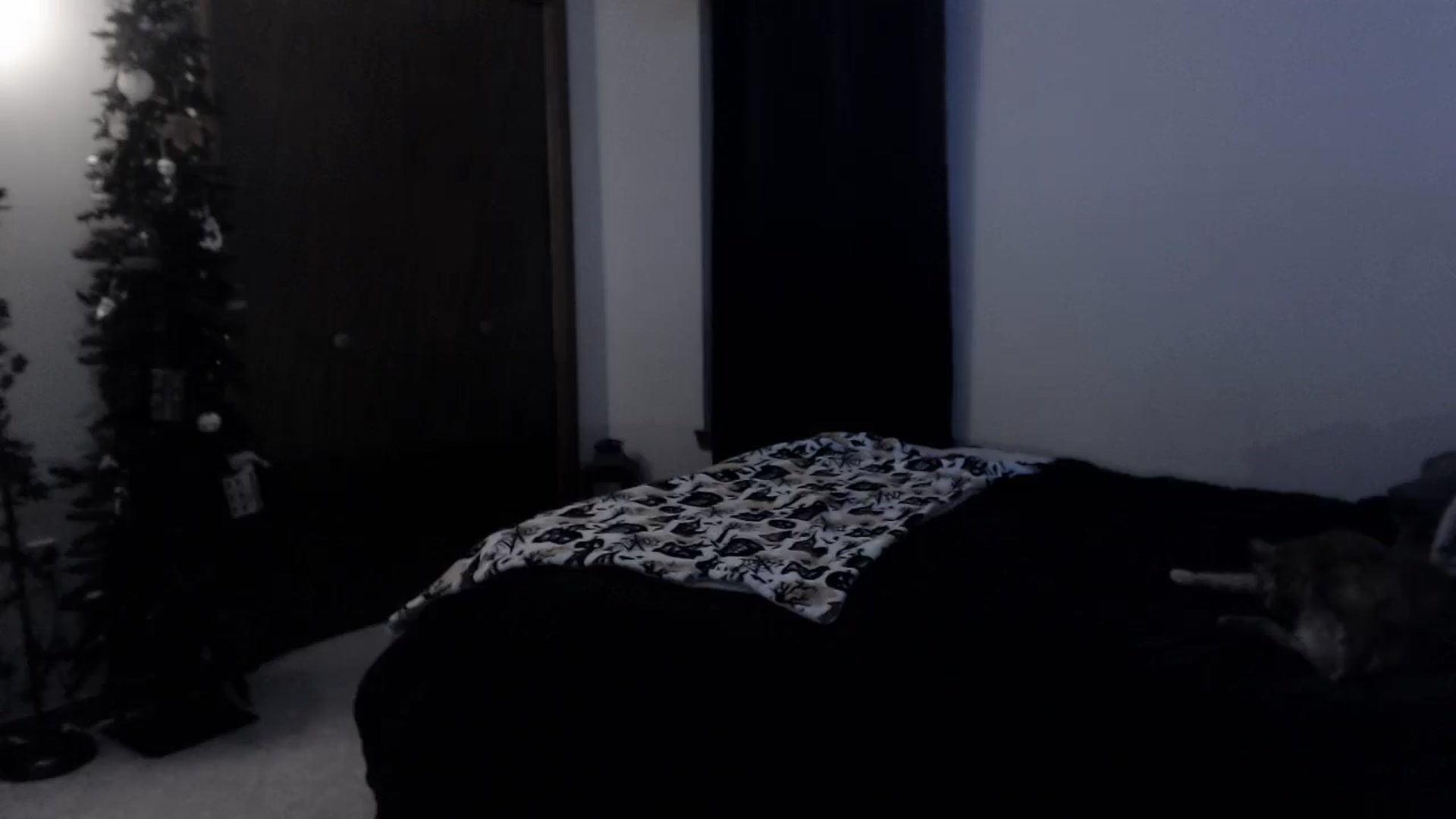 Gallery image thumbnail from LadyMarceline's myfreecams stream on, 03/26/2026, 05:46 image 20 of 20