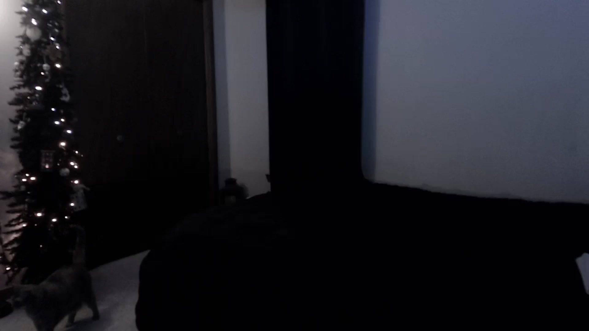 Gallery image thumbnail from LadyMarceline's myfreecams stream on, 05/03/2026, 06:24 image 2 of 20