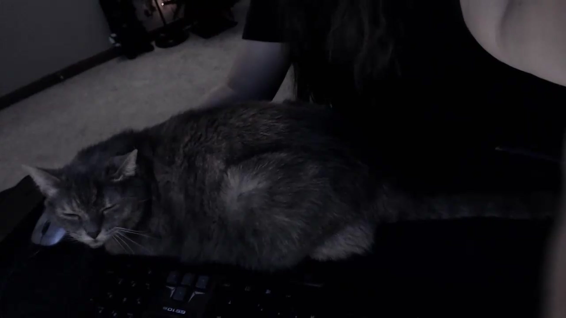 Gallery image thumbnail from LadyMarceline's myfreecams stream on, 06/01/2026, 06:04 image 6 of 20