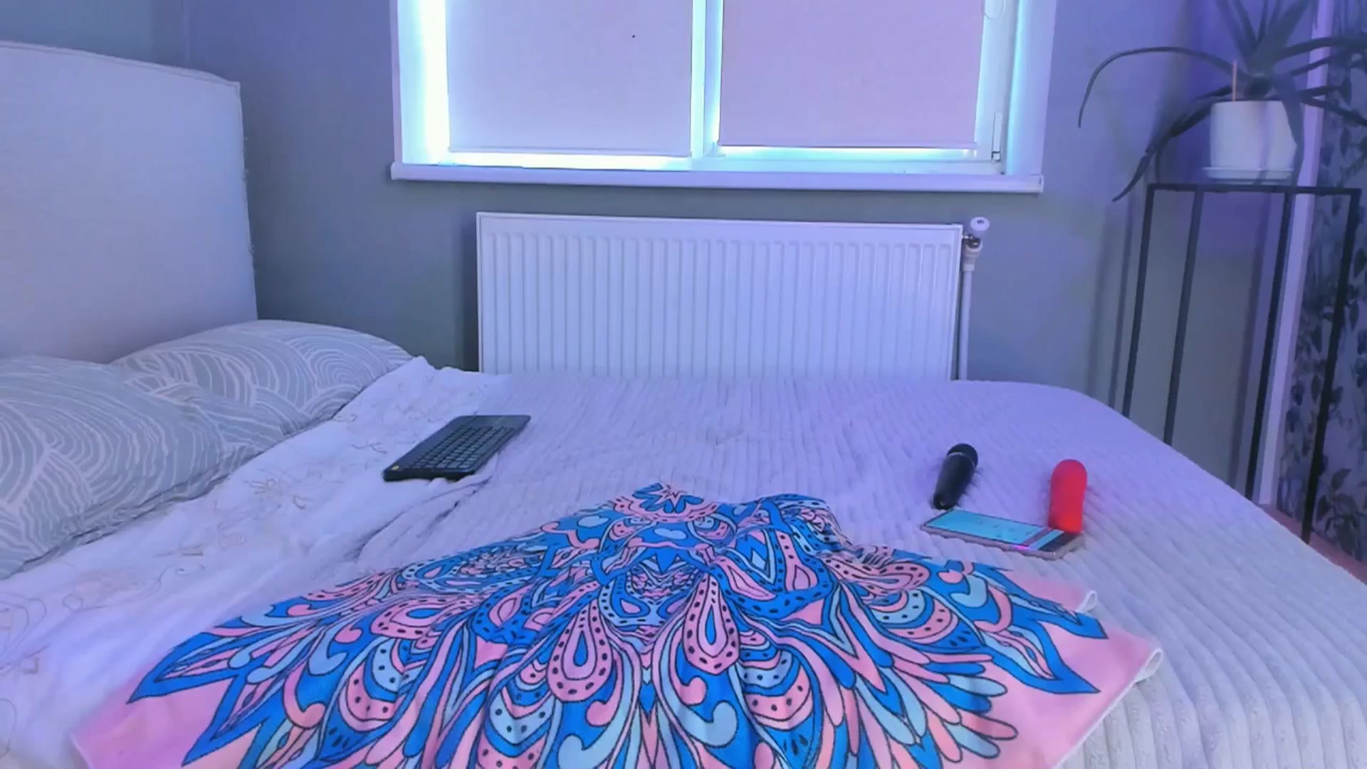 Gallery image thumbnail from LadySquirtle's myfreecams stream on, 10/23/2025, 07:36 image 13 of 20