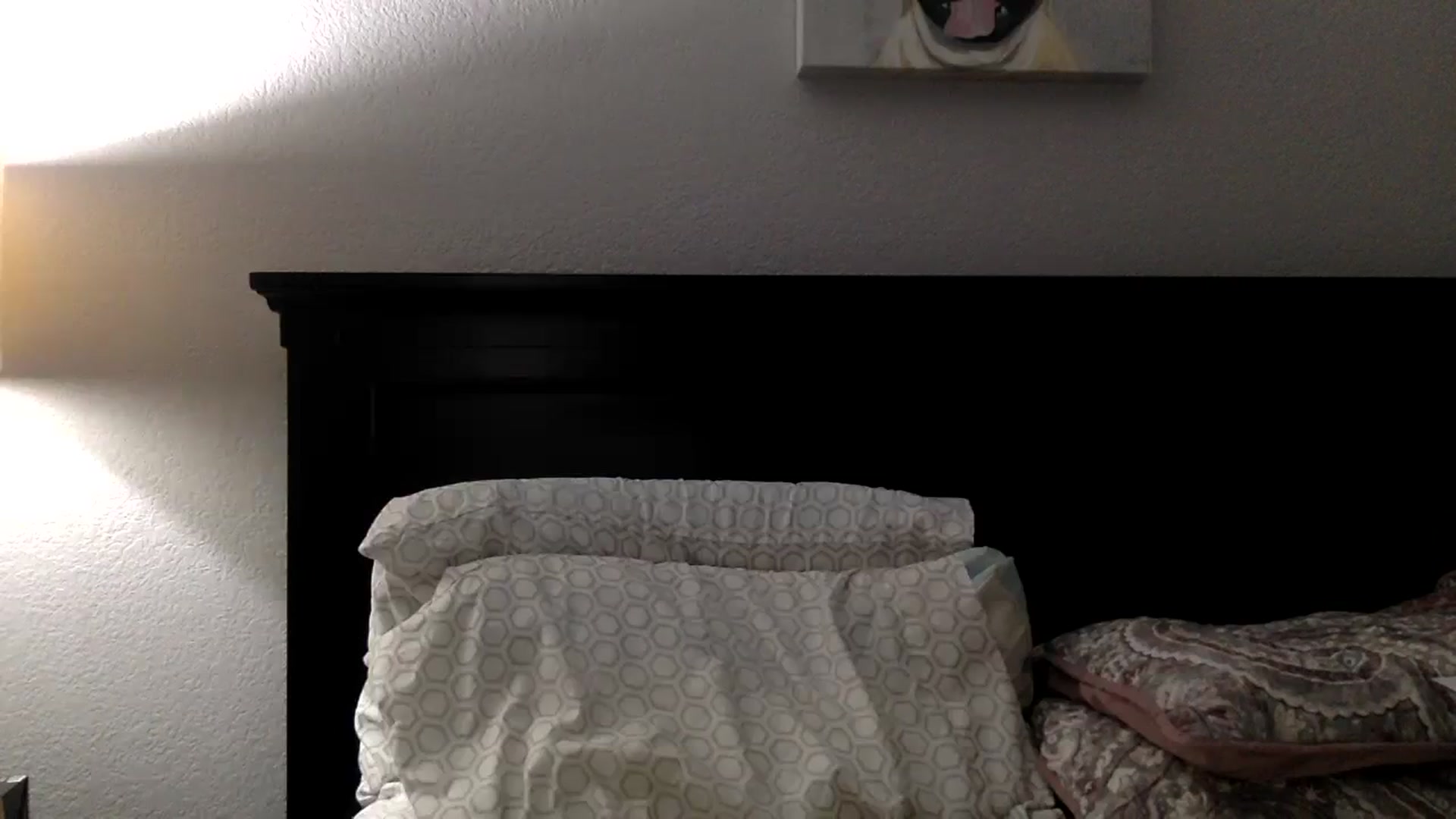 Gallery image thumbnail from Lakelove6's myfreecams stream on, 08/14/2023, 11:32 image 15 of 20