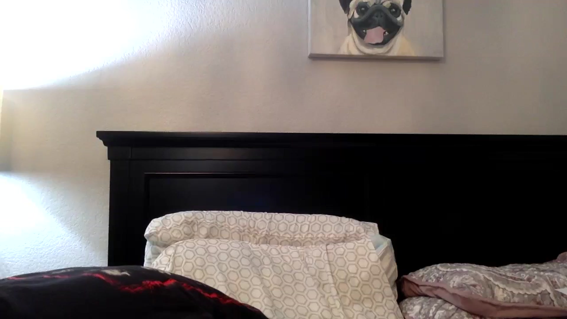 Gallery image thumbnail from Lakelove6's myfreecams stream on, 08/14/2023, 11:32 image 10 of 20