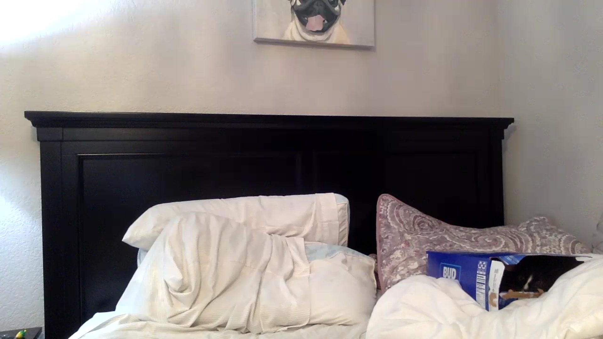 Gallery image thumbnail from Lakelove6's myfreecams stream on, 08/26/2023, 10:34 image 14 of 20