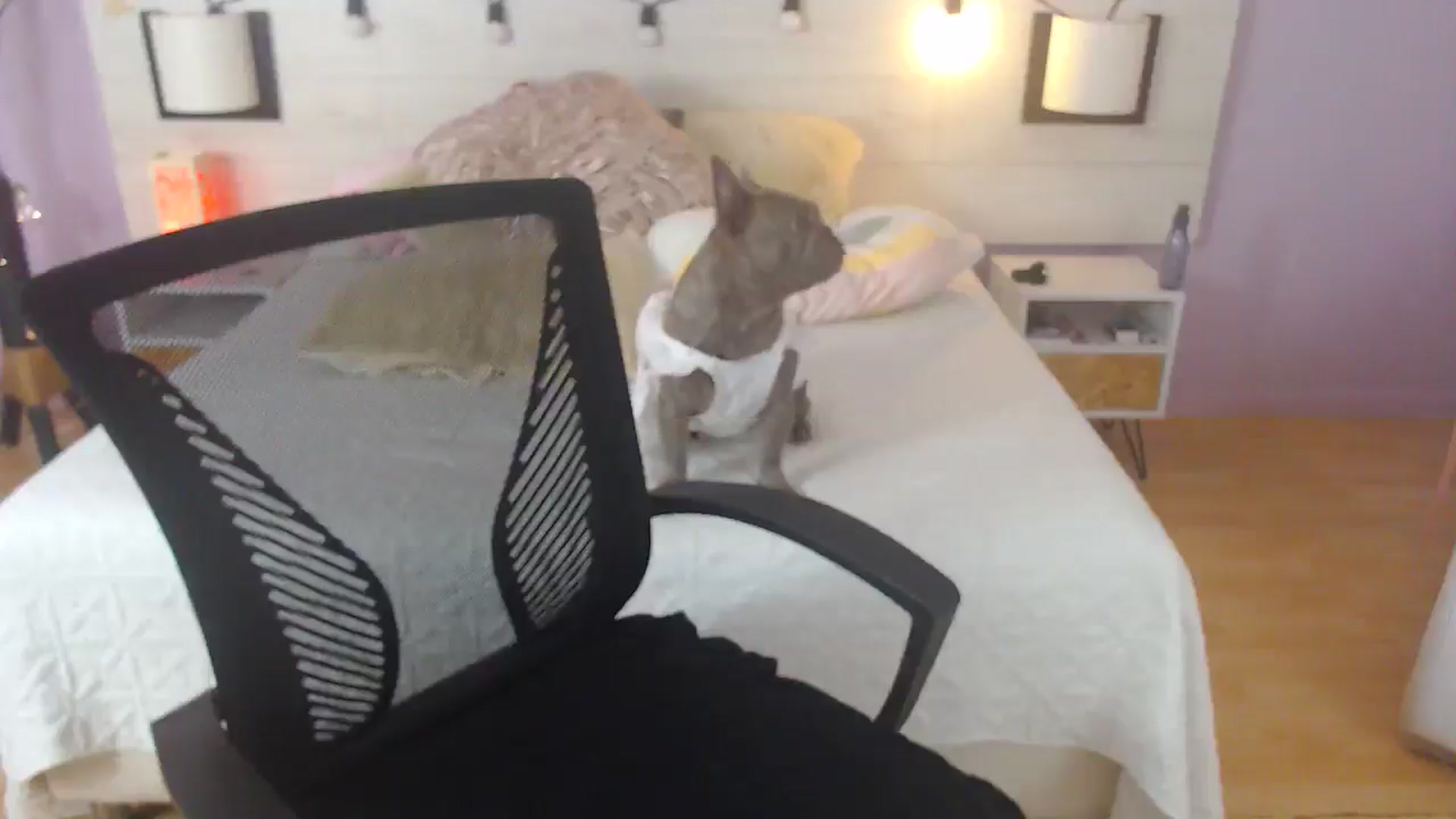 Gallery image thumbnail from Lakshmi_7's myfreecams stream on, 10/10/2025, 16:49 image 2 of 20