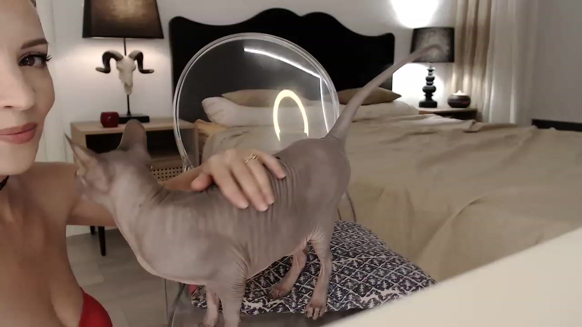Gallery image thumbnail from LanaIvans's myfreecams stream on, 08/21/2023, 17:57 image 15 of 20