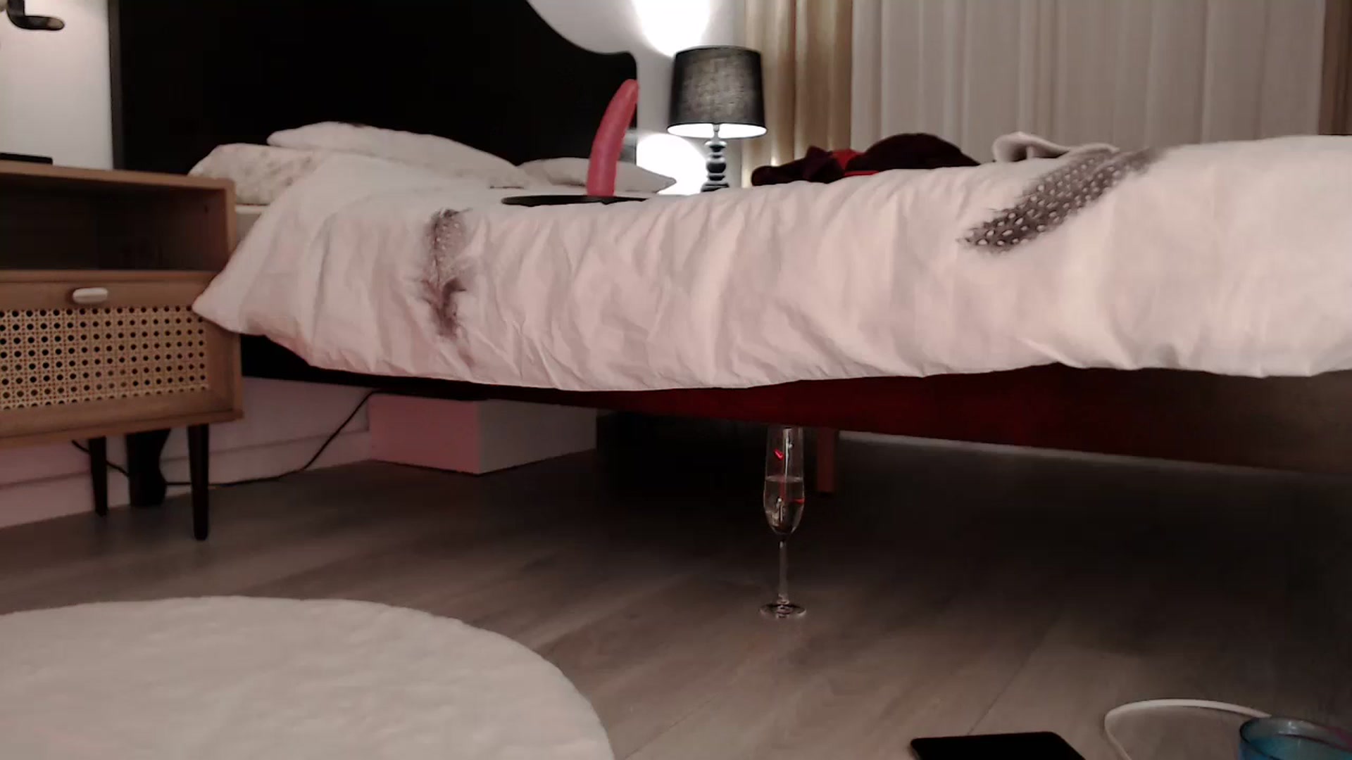 Gallery image thumbnail from LanaIvans's myfreecams stream on, 12/24/2023, 19:49 image 2 of 20