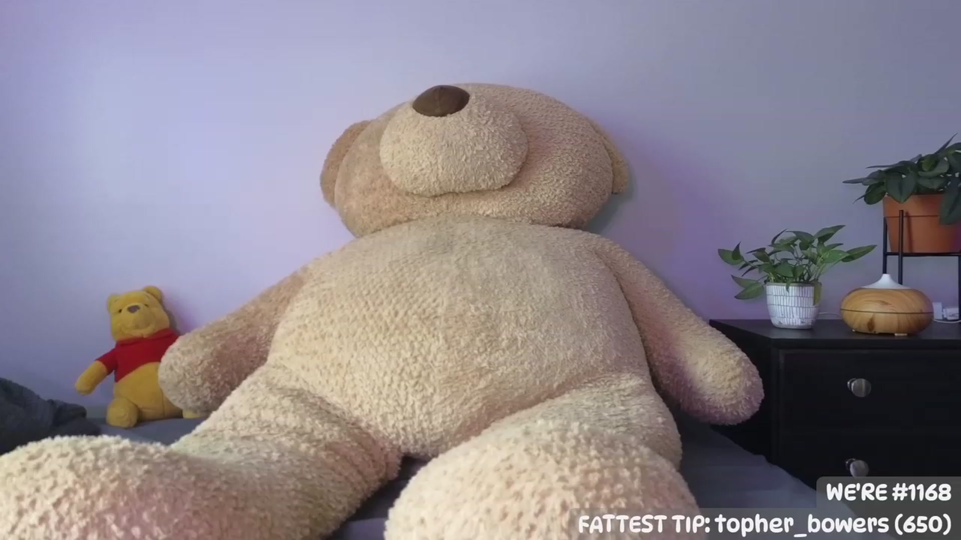 Gallery image thumbnail from LanaTy's myfreecams stream on, 04/15/2023, 23:26 image 13 of 20
