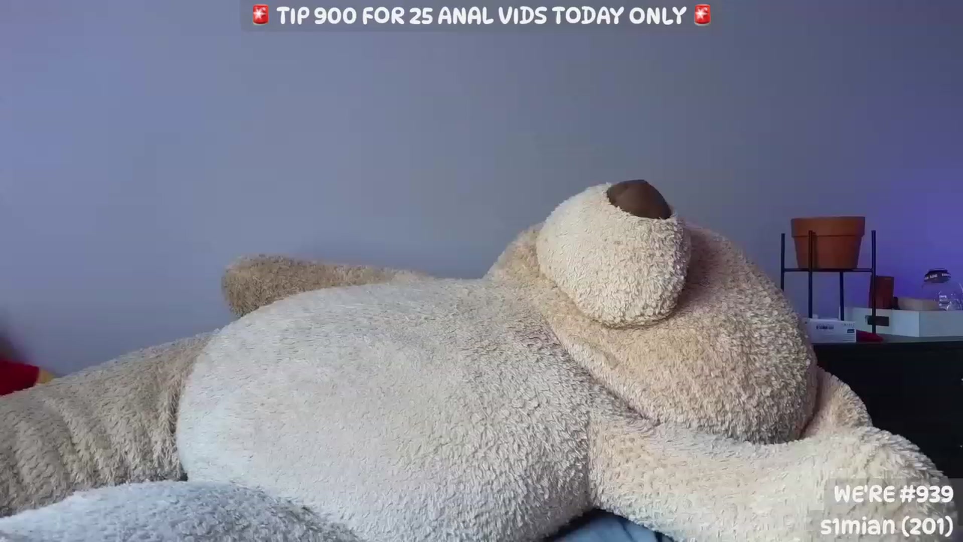 Gallery image thumbnail from LanaTy's myfreecams stream on, 07/02/2023, 23:24 image 13 of 20