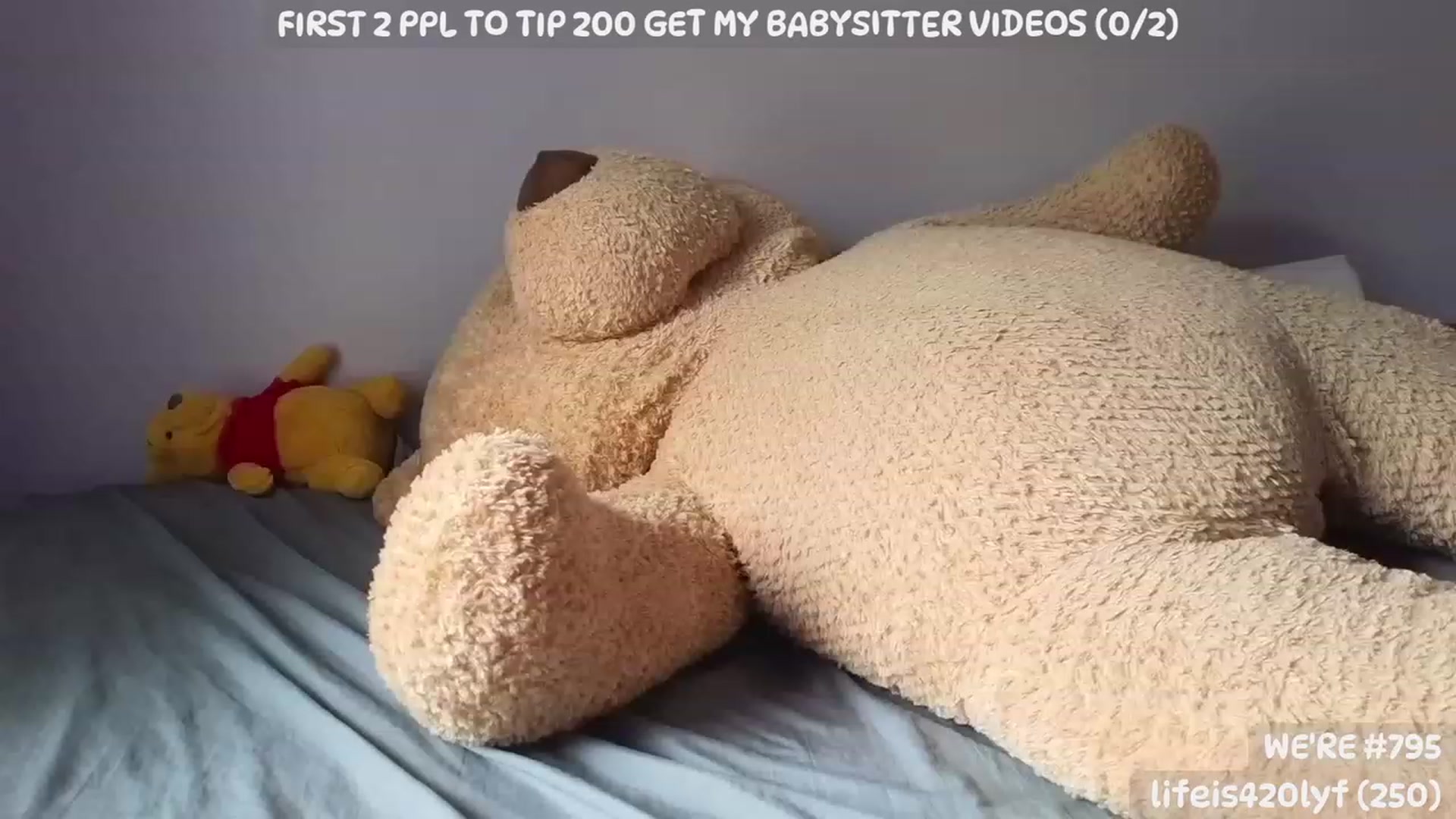 Gallery image thumbnail from LanaTy's myfreecams stream on, 07/19/2023, 21:53 image 14 of 20