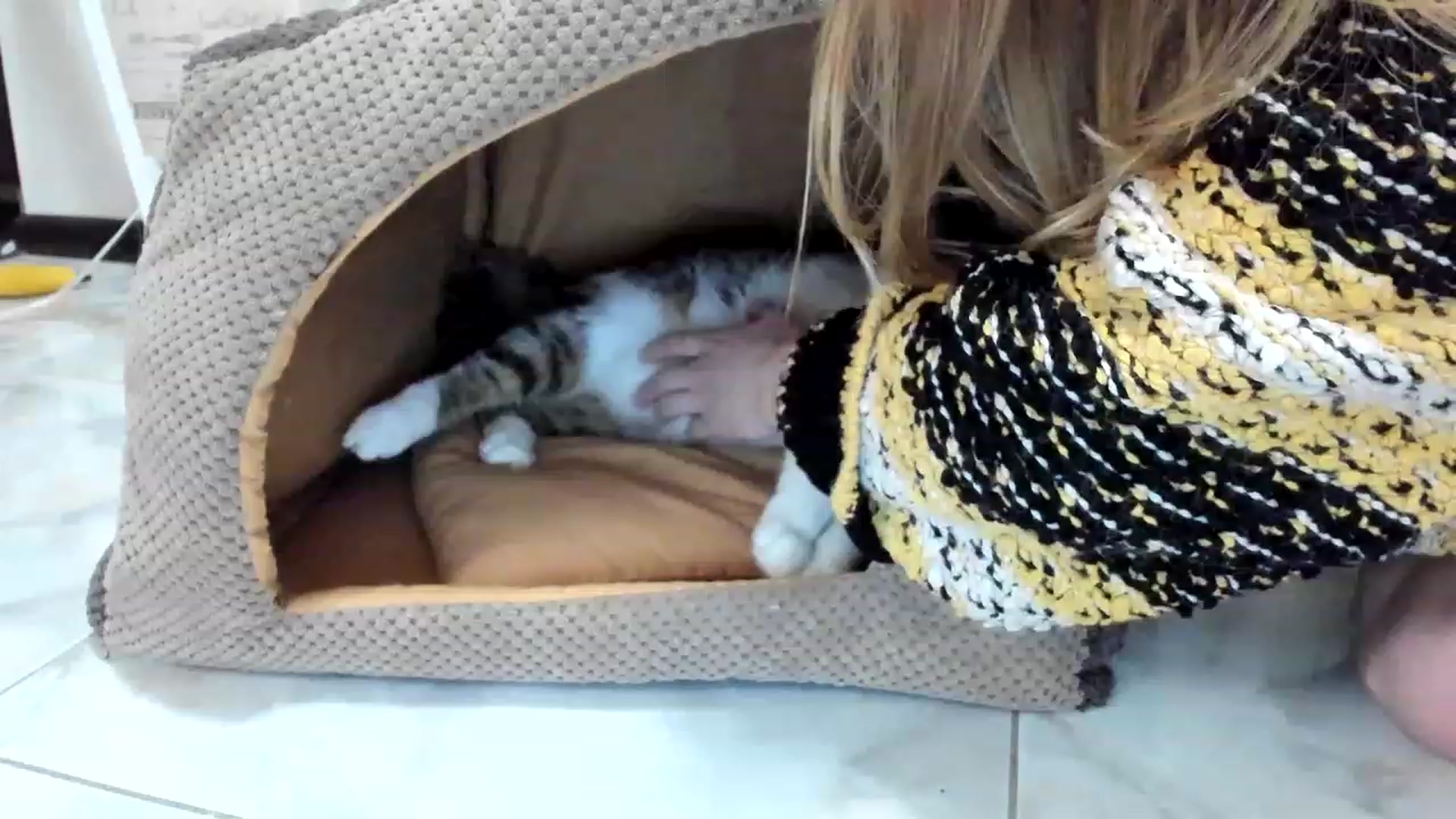 Gallery image thumbnail from Lana_Kitty20's myfreecams stream on, 11/21/2022, 24:28 image 2 of 20