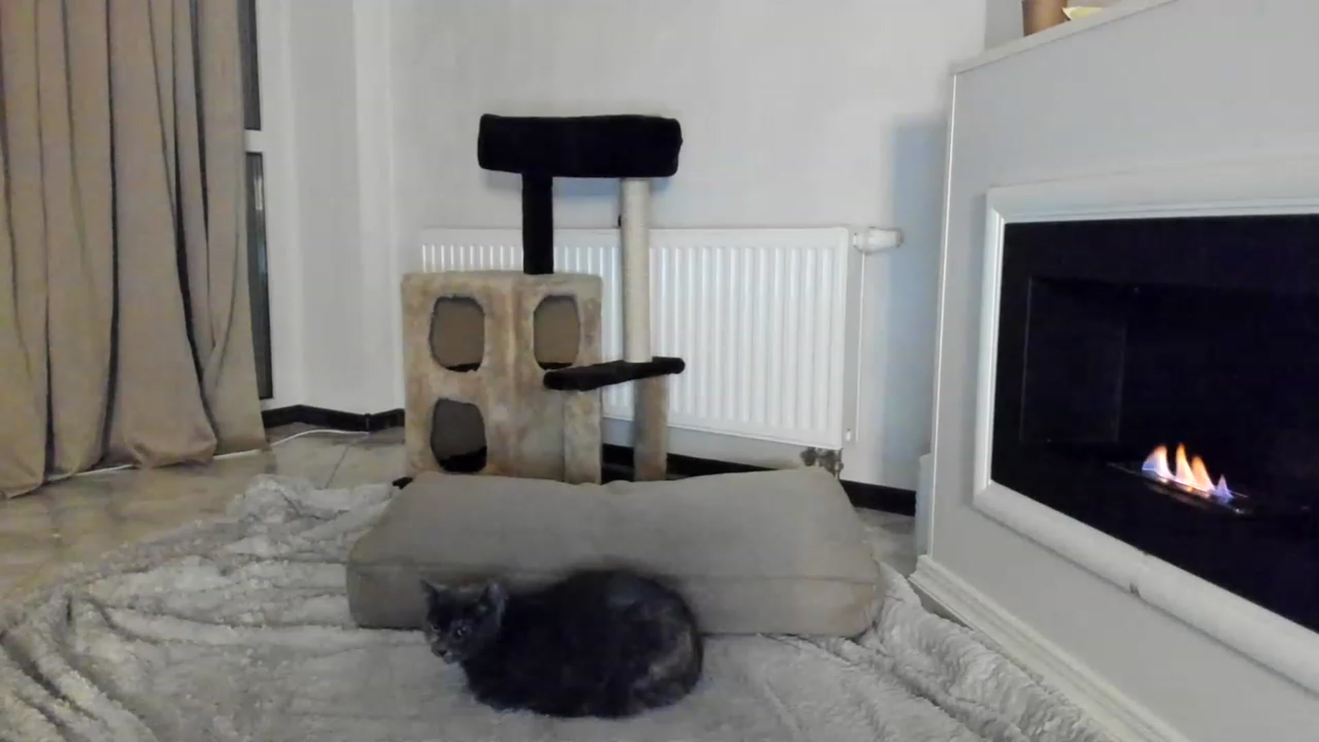 Gallery image thumbnail from Lana_Kitty20's myfreecams stream on, 01/12/2023, 19:08 image 15 of 20