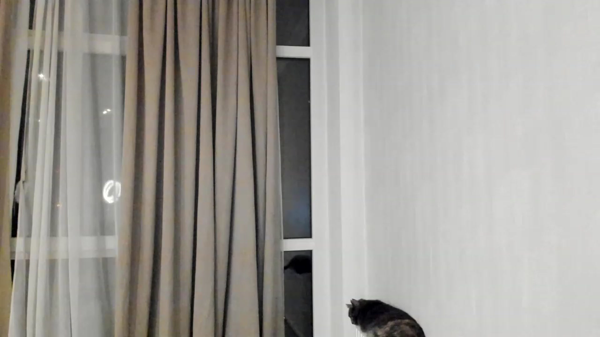 Gallery image thumbnail from Lana_Kitty20's myfreecams stream on, 02/28/2023, 23:25 image 6 of 20
