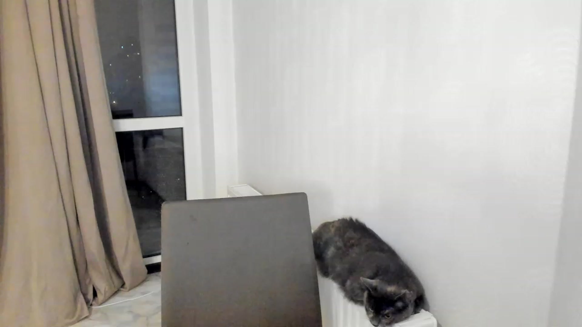 Gallery image thumbnail from Lana_Kitty20's myfreecams stream on, 03/04/2023, 20:28 image 20 of 20