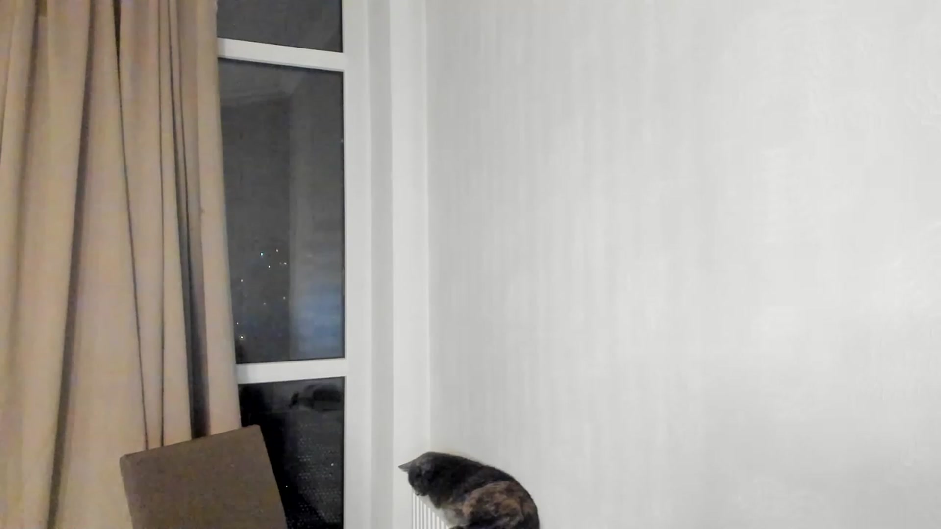 Gallery image thumbnail from Lana_Kitty20's myfreecams stream on, 03/04/2023, 20:28 image 15 of 20