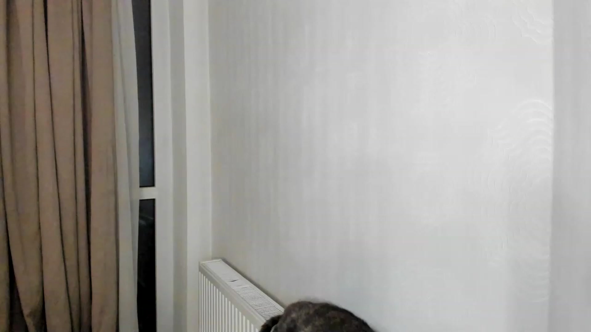 Gallery image thumbnail from Lana_Kitty20's myfreecams stream on, 03/16/2023, 01:27 image 3 of 20