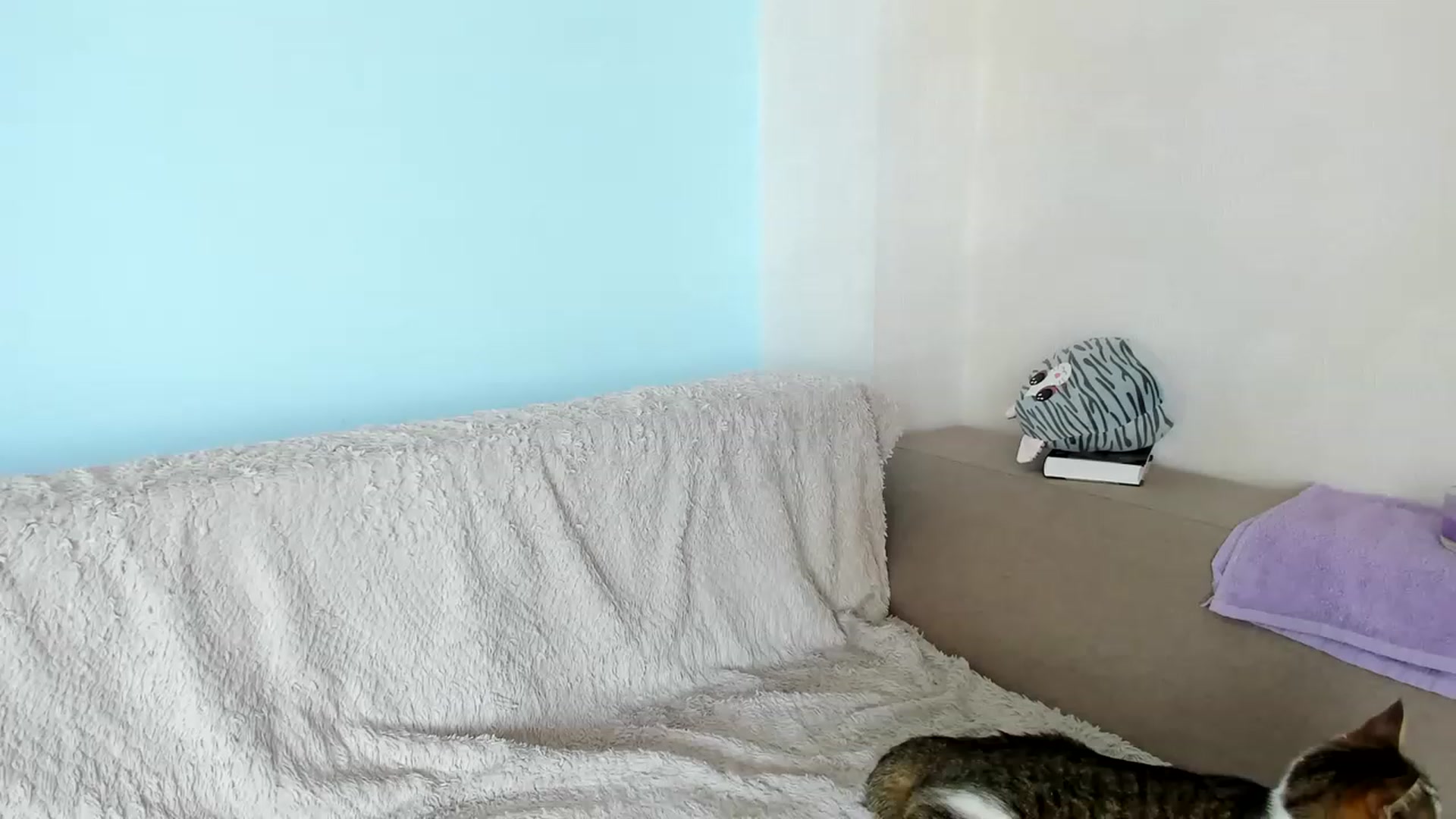 Gallery image thumbnail from Lana_Kitty20's myfreecams stream on, 05/31/2023, 10:43 image 8 of 20