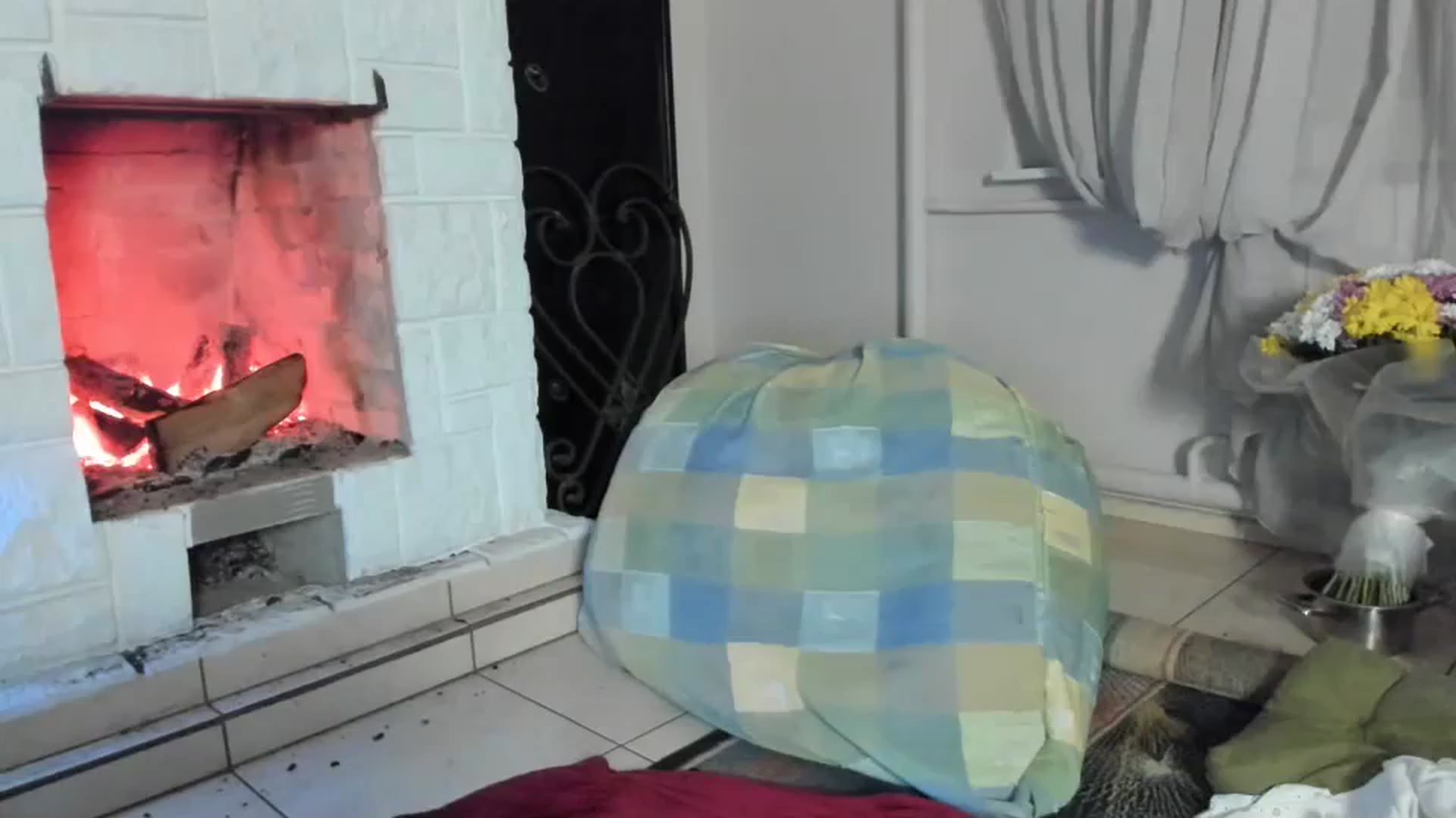 Gallery image thumbnail from Lana_Kitty20's myfreecams stream on, 12/31/2023, 01:02 image 4 of 20