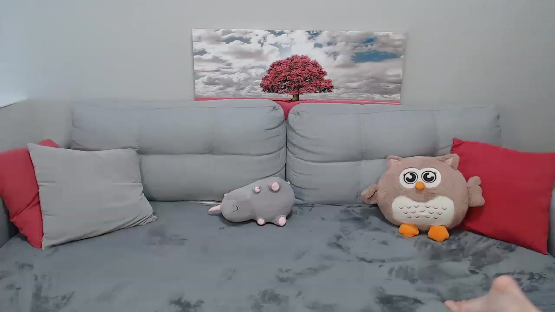 Gallery image thumbnail from LaneyGrey's myfreecams stream on, 04/14/2023, 09:41 image 20 of 20