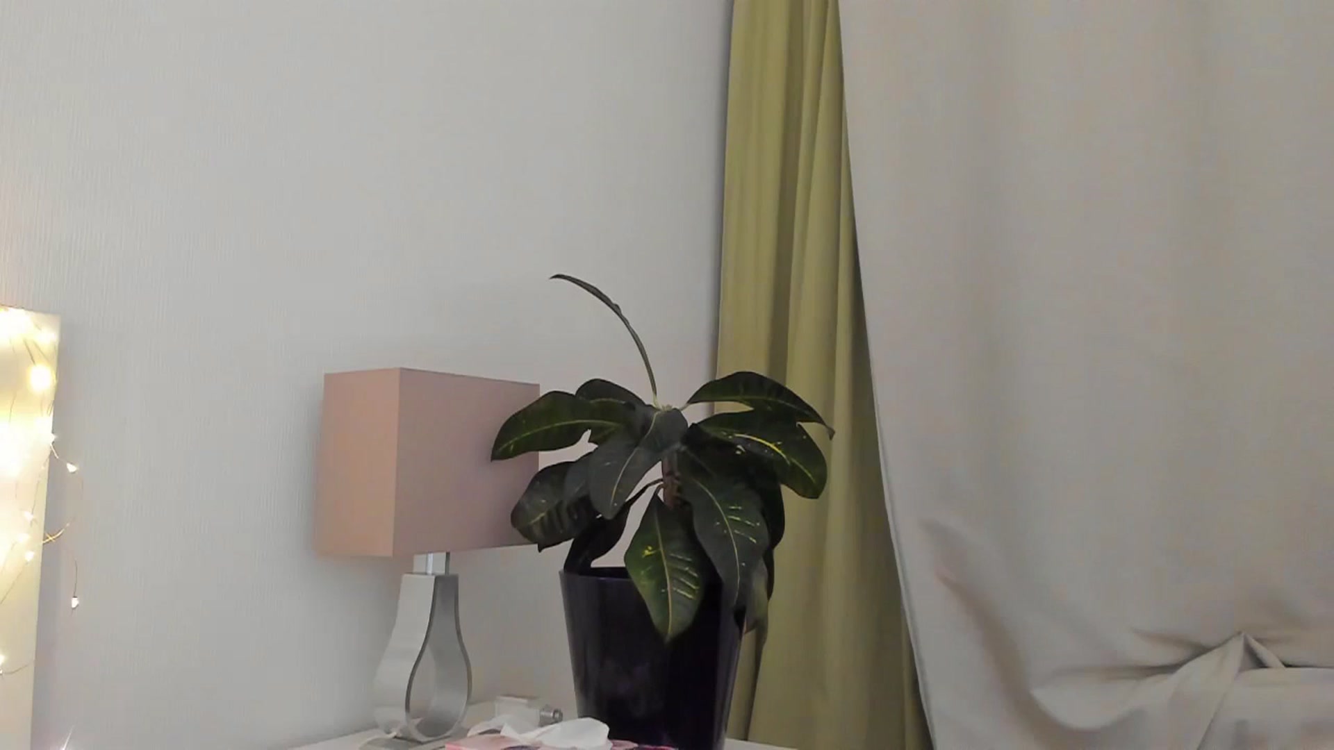 Gallery image thumbnail from Lanie__Love's myfreecams stream on, 11/24/2023, 20:07 image 11 of 20