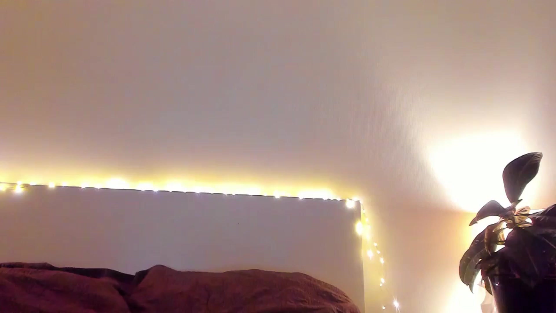 Gallery image thumbnail from Lanie__Love's myfreecams stream on, 12/10/2023, 20:46 image 1 of 20