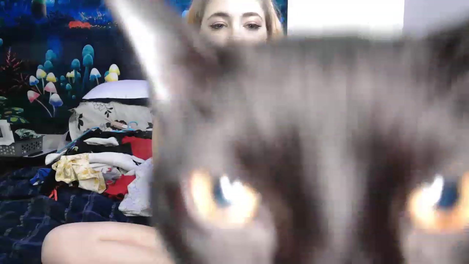 Gallery image thumbnail from Laniibabi's myfreecams stream on, 01/30/2023, 12:05 image 5 of 20