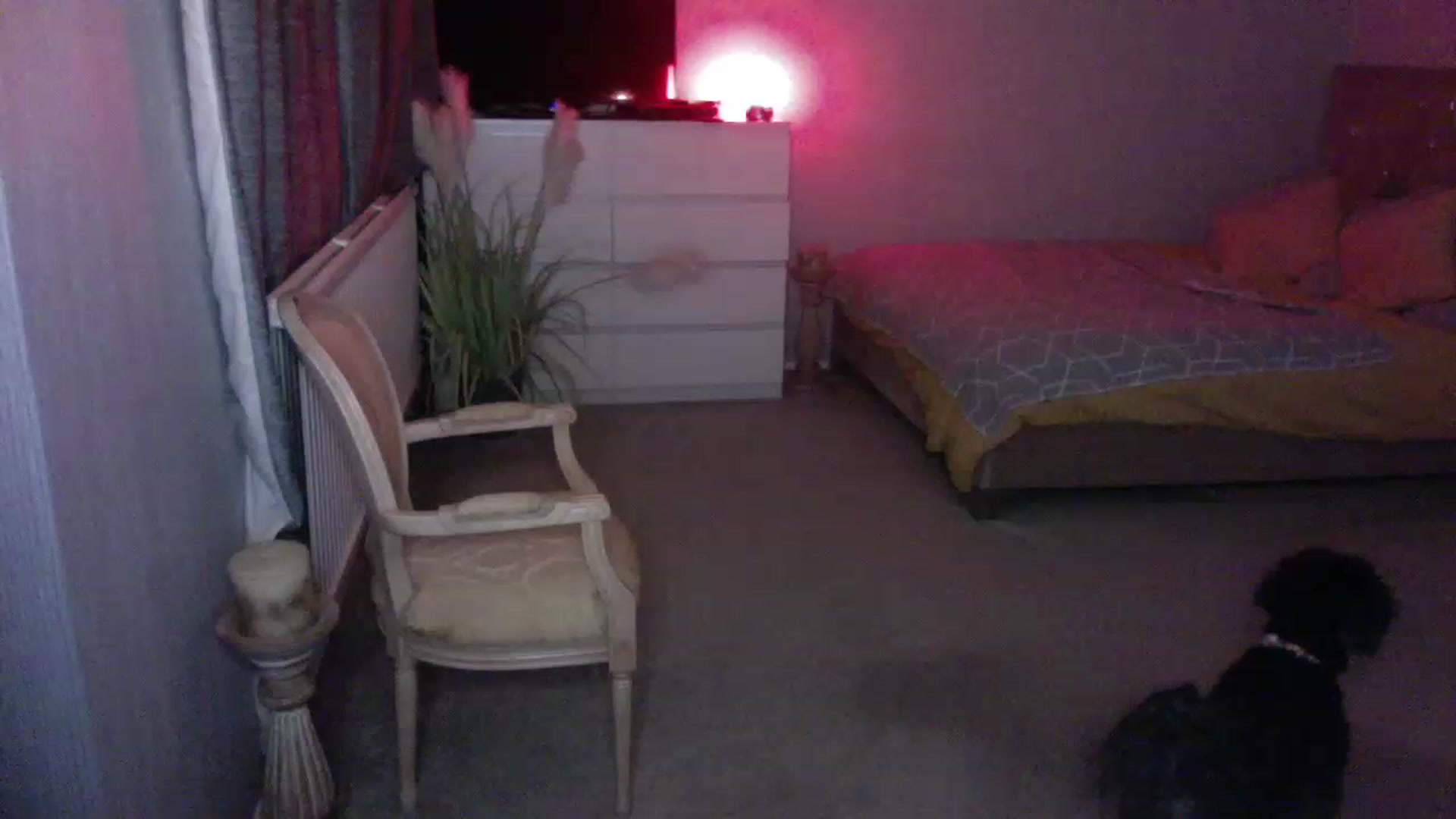 Gallery image thumbnail from LaraLaughs's myfreecams stream on, 11/27/2022, 22:12 image 5 of 20