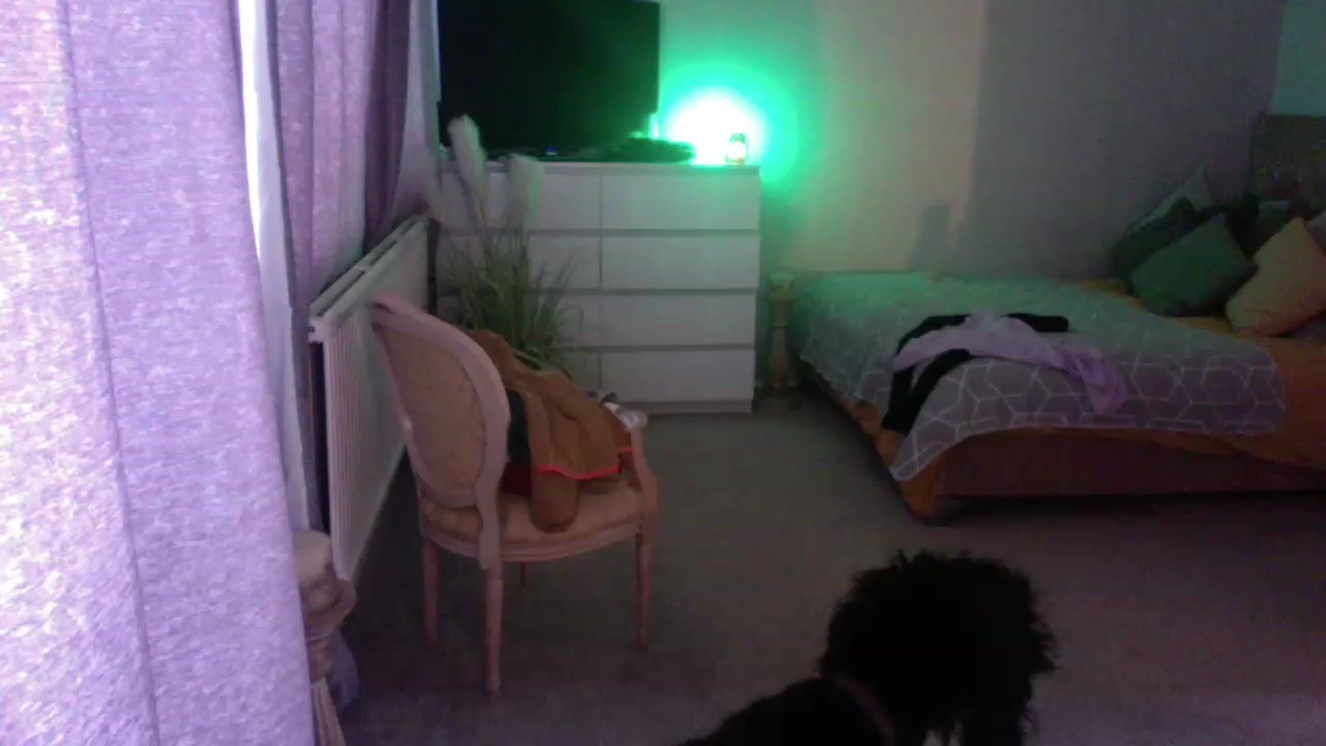 Gallery image thumbnail from LaraLaughs's myfreecams stream on, 12/05/2022, 11:20 image 11 of 20