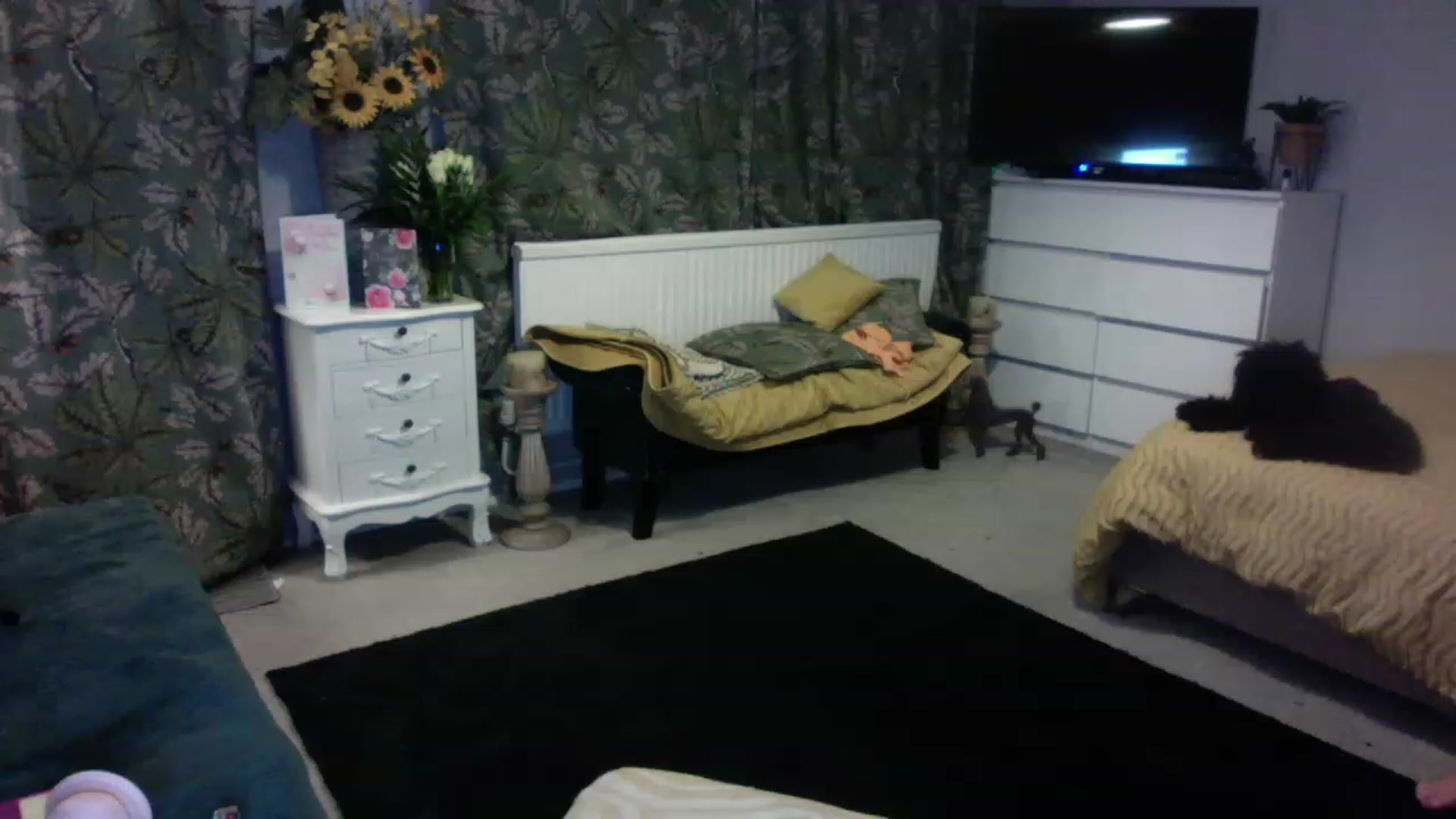 Gallery image thumbnail from LaraLaughs's myfreecams stream on, 01/09/2023, 24:47 image 18 of 20