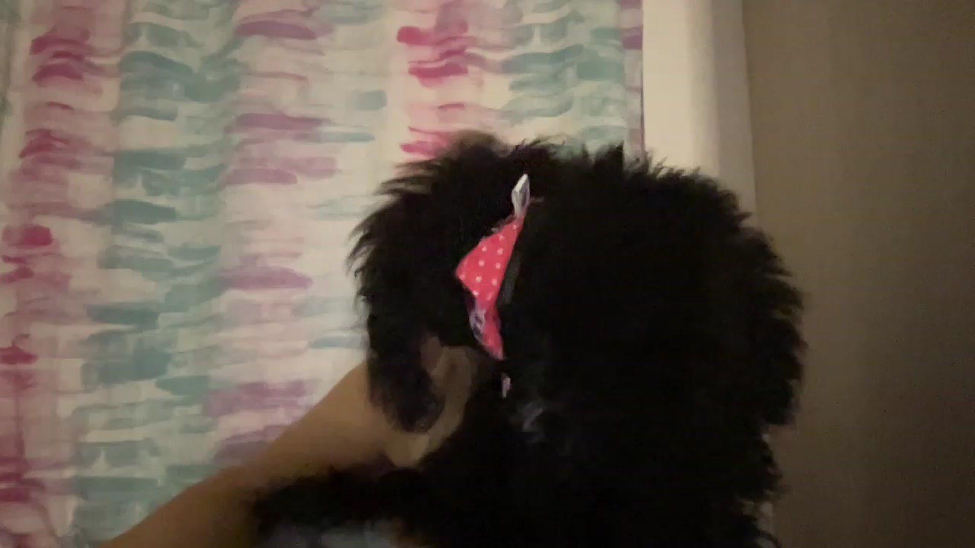 Gallery image thumbnail from LaraLaughs's myfreecams stream on, 03/10/2023, 18:57 image 20 of 20