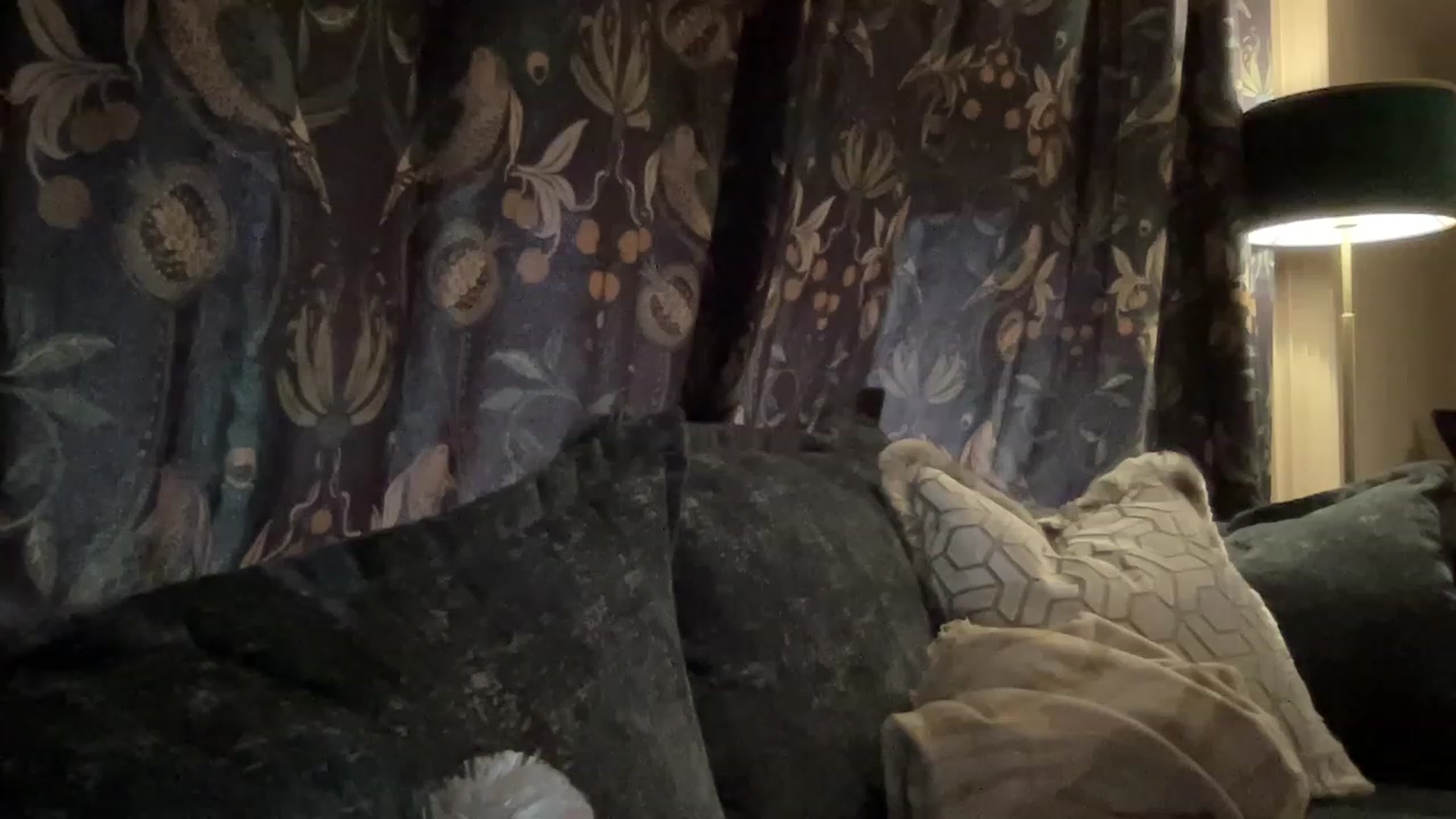 Gallery image thumbnail from LaraLaughs's myfreecams stream on, 03/31/2023, 16:42 image 18 of 20