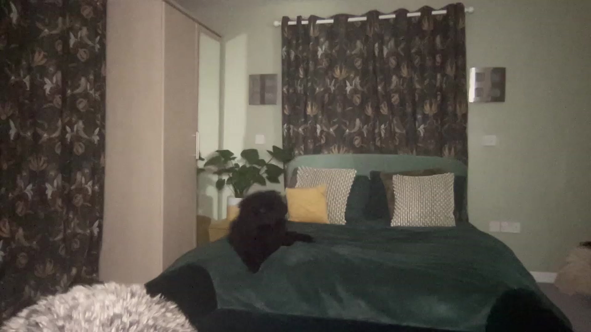 Gallery image thumbnail from LaraLaughs's myfreecams stream on, 04/14/2023, 23:41 image 4 of 20