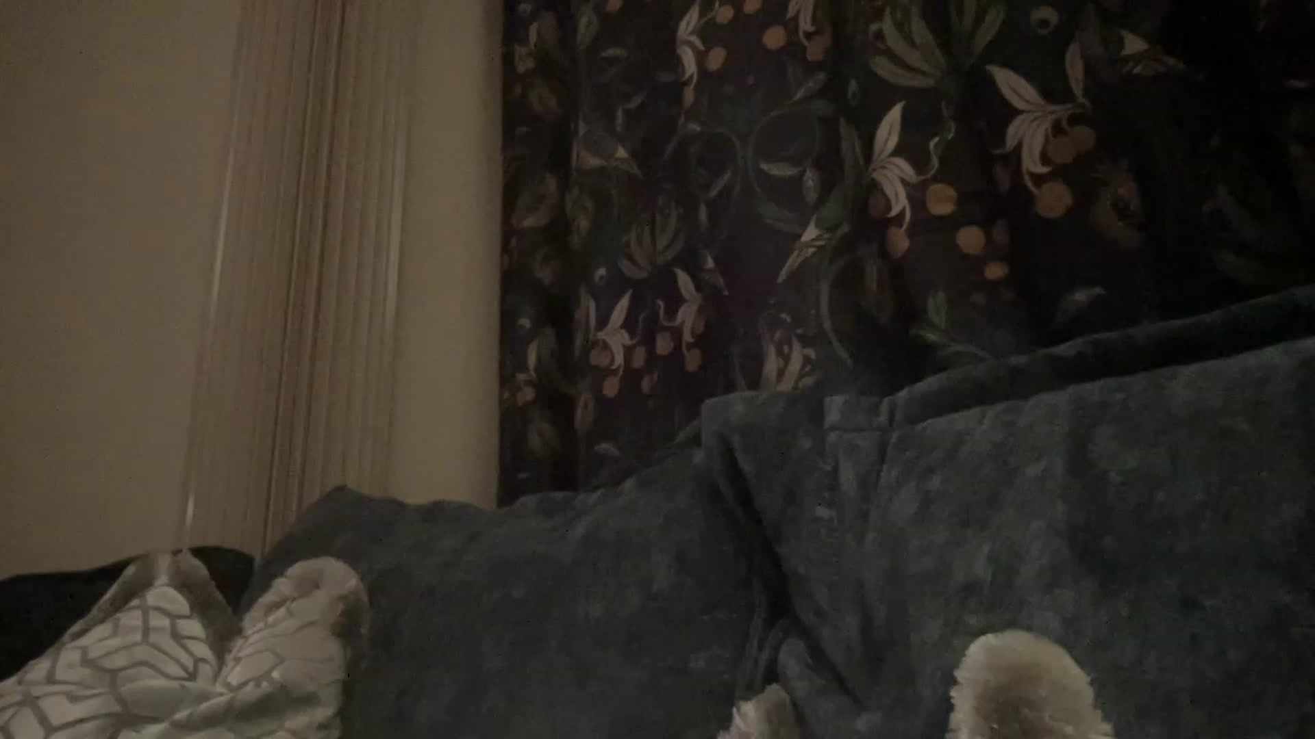 Gallery image thumbnail from LaraLaughs's myfreecams stream on, 04/27/2023, 19:52 image 14 of 20