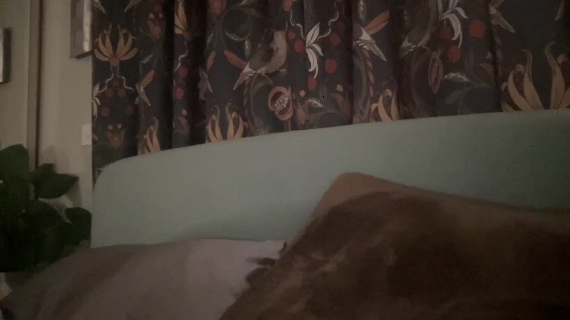 Gallery image thumbnail from LaraLaughs's myfreecams stream on, 09/12/2023, 21:09 image 2 of 20