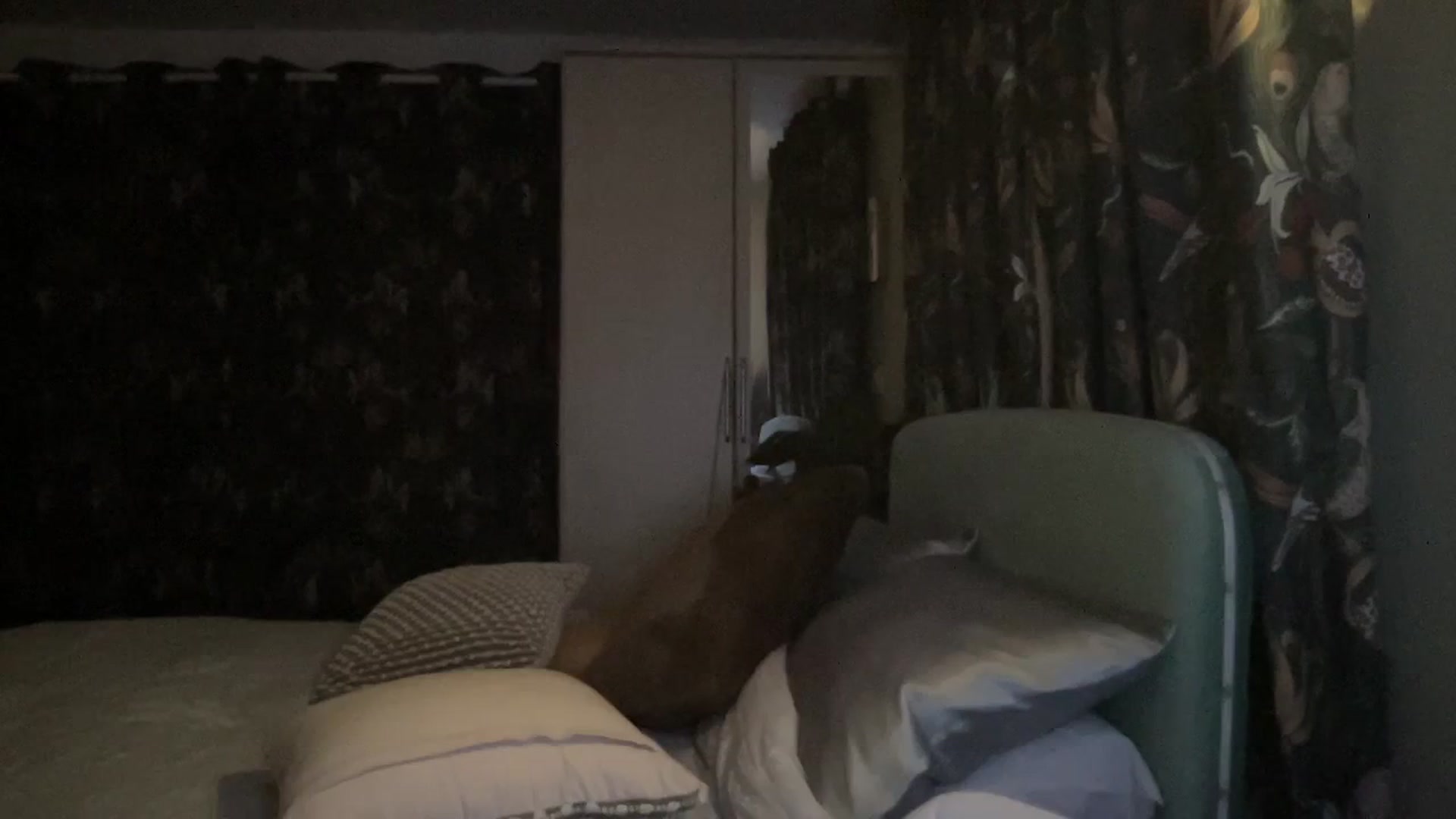Gallery image thumbnail from LaraLaughs's myfreecams stream on, 11/23/2023, 20:15 image 15 of 20