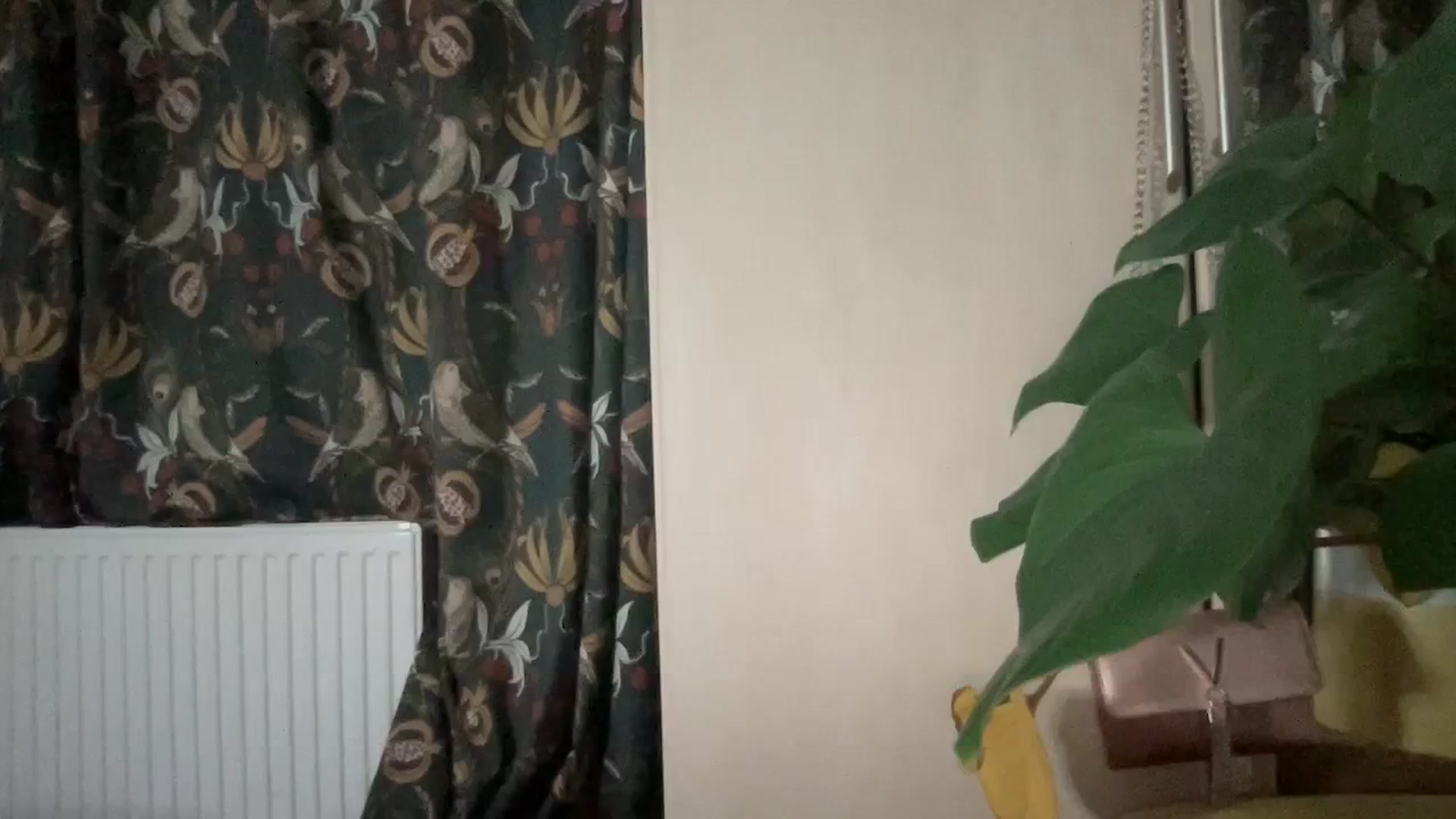 Gallery image thumbnail from LaraLaughs's myfreecams stream on, 12/06/2023, 22:54 image 13 of 20