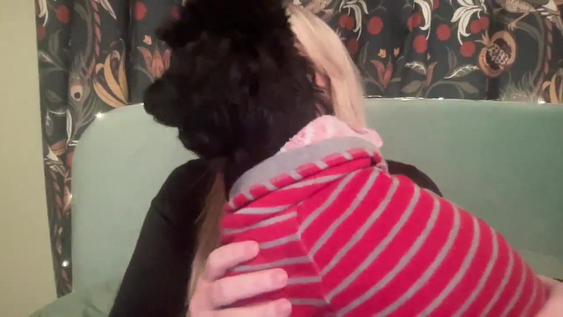 Gallery image thumbnail from LaraLaughs's myfreecams stream on, 12/22/2023, 23:48 image 13 of 20