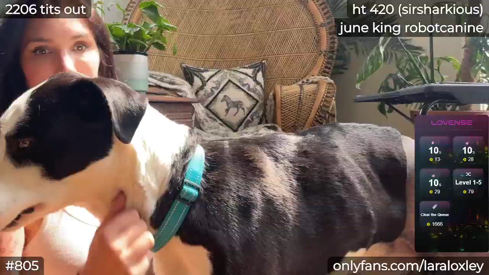 Gallery image thumbnail from LaraLoxley's myfreecams stream on, 06/17/2024, 19:33 image 13 of 20