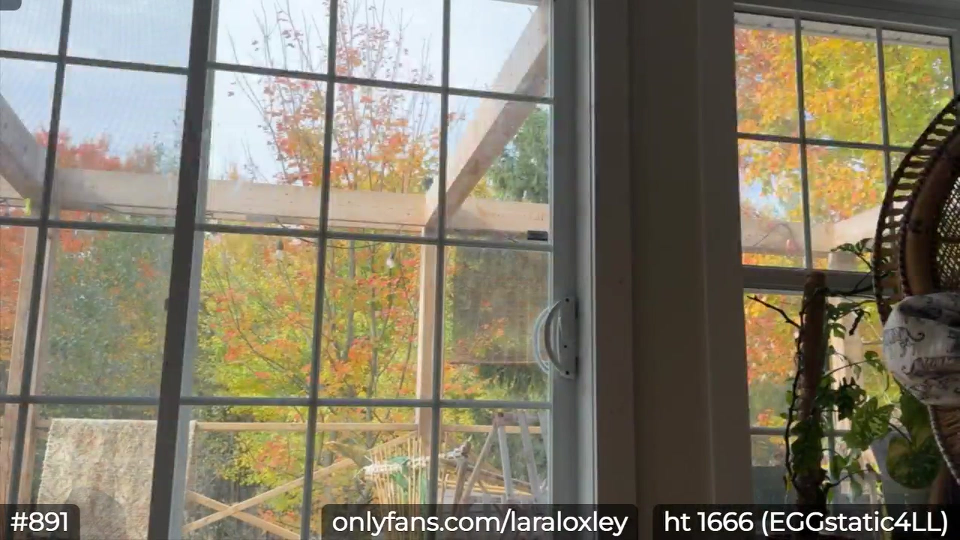 Gallery image thumbnail from LaraLoxley's myfreecams stream on, 10/13/2024, 16:21 image 7 of 20