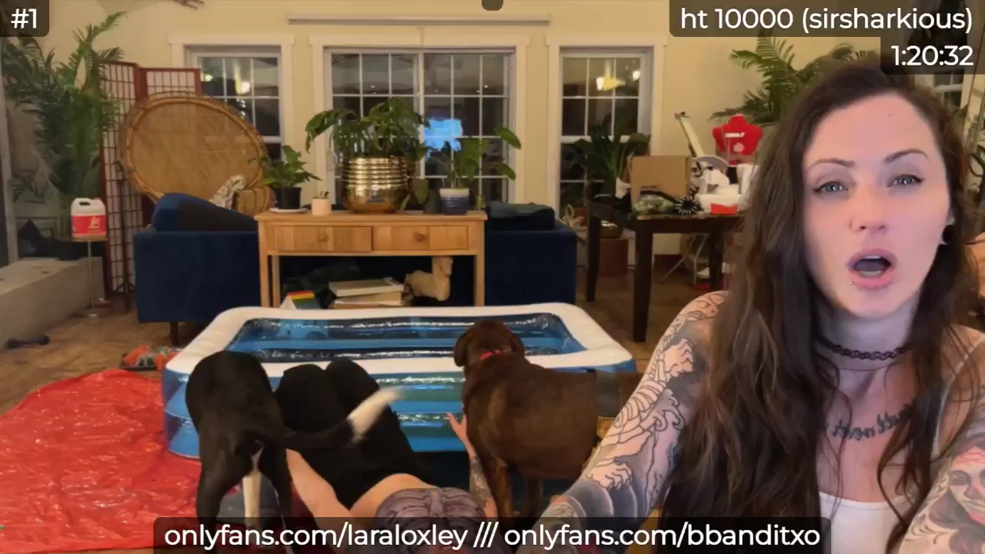 Gallery image thumbnail from LaraLoxley's myfreecams stream on, 11/01/2024, 23:55 image 4 of 20