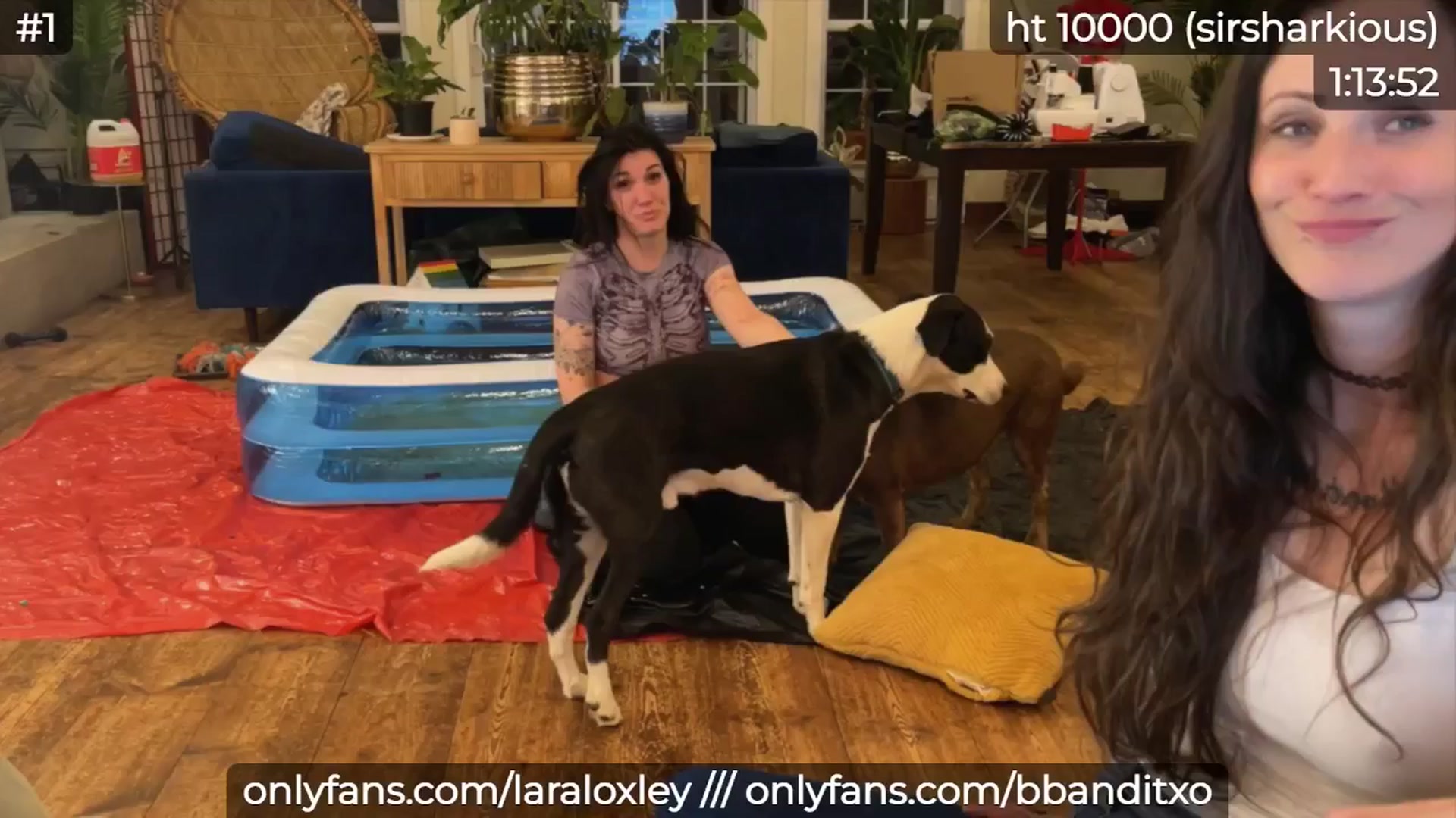 Gallery image thumbnail from LaraLoxley's myfreecams stream on, 11/01/2024, 23:55 image 14 of 20