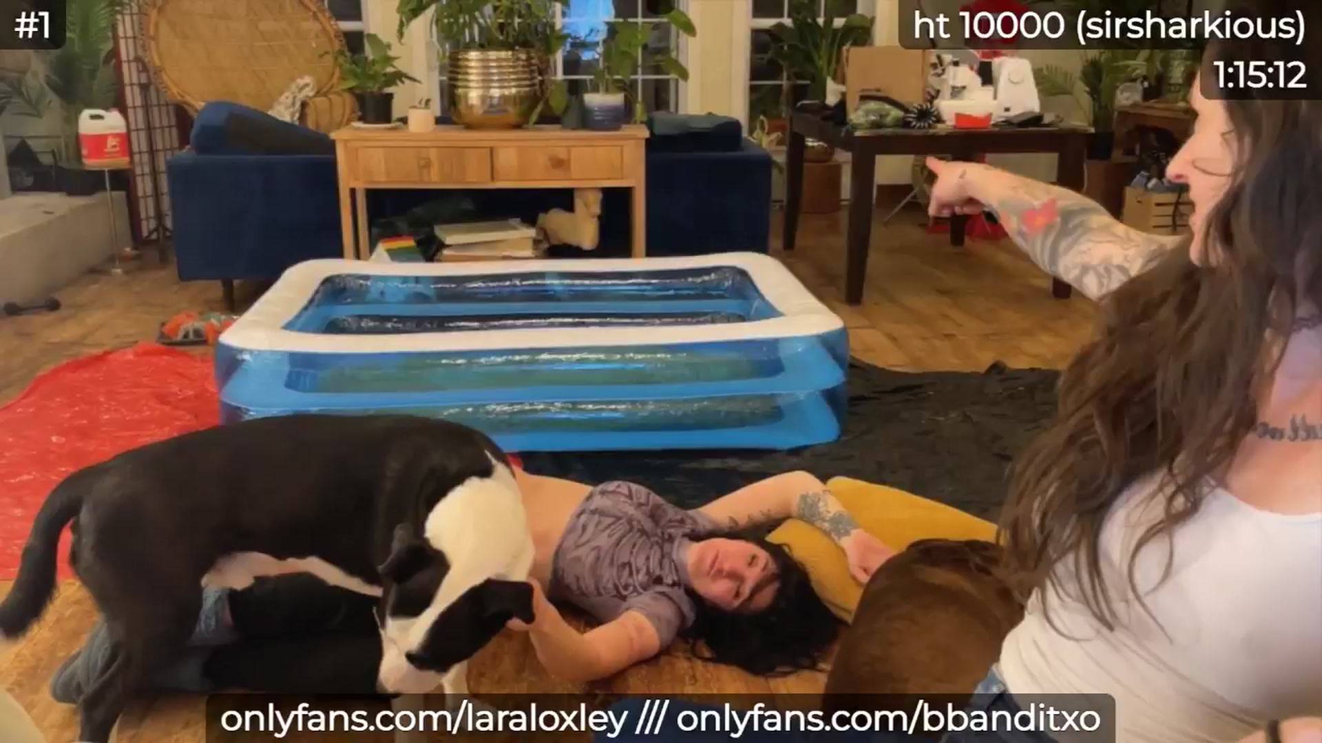 Gallery image thumbnail from LaraLoxley's myfreecams stream on, 11/01/2024, 23:55 image 12 of 20