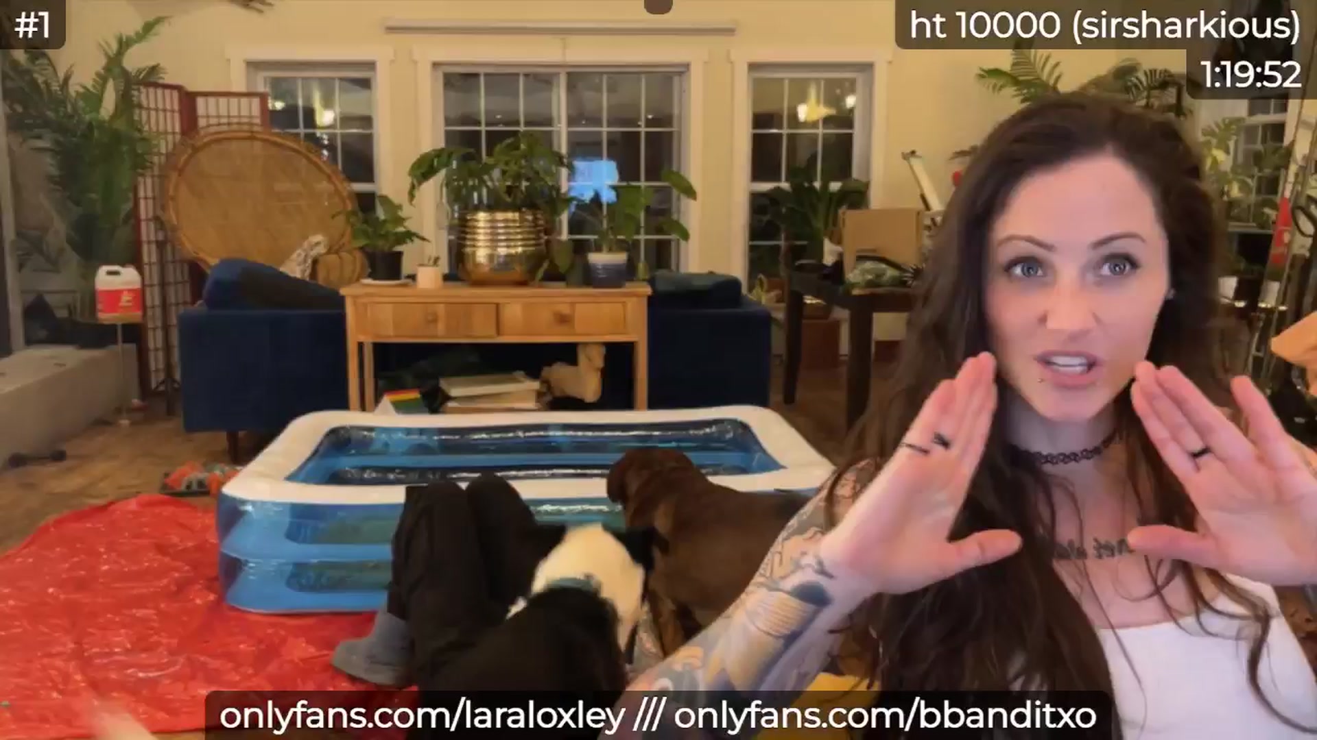 Gallery image thumbnail from LaraLoxley's myfreecams stream on, 11/01/2024, 23:55 image 5 of 20