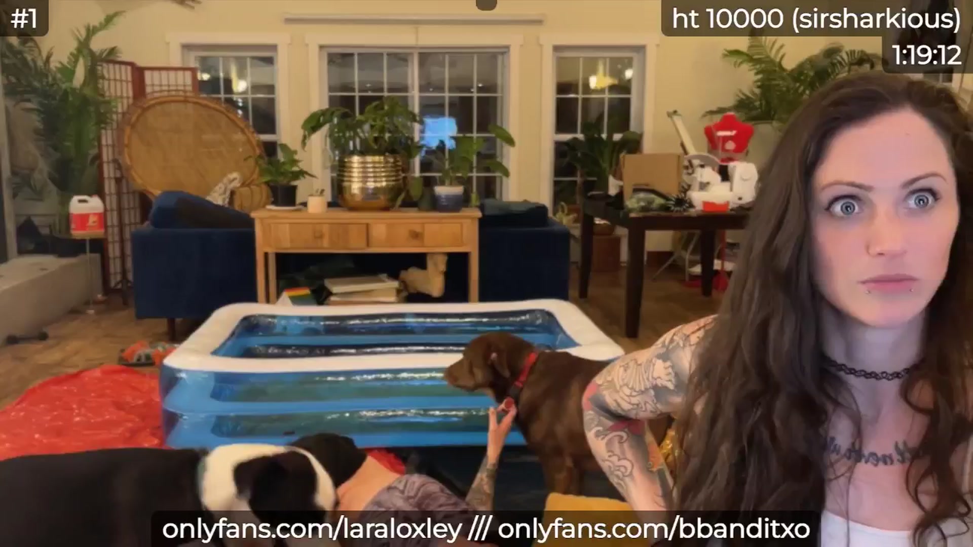 Gallery image thumbnail from LaraLoxley's myfreecams stream on, 11/01/2024, 23:55 image 6 of 20