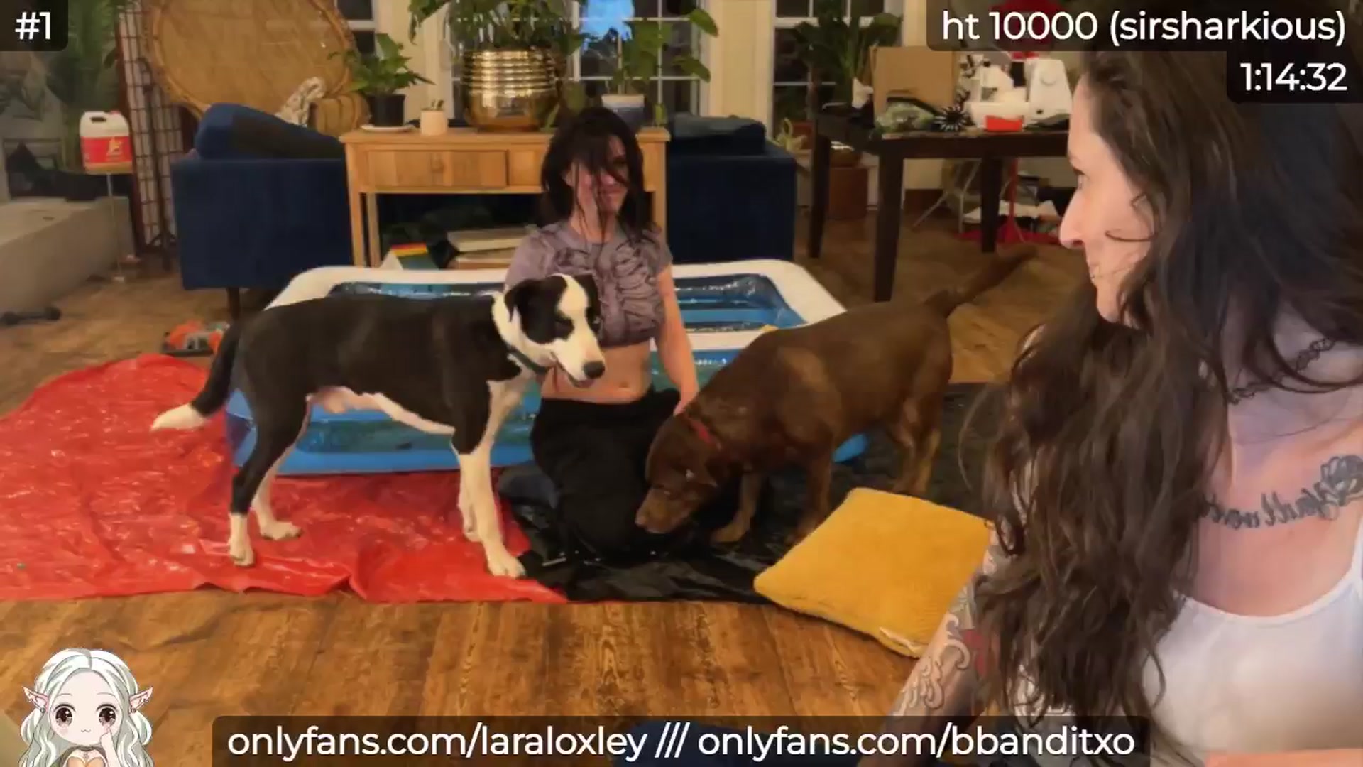 Gallery image thumbnail from LaraLoxley's myfreecams stream on, 11/01/2024, 23:55 image 13 of 20