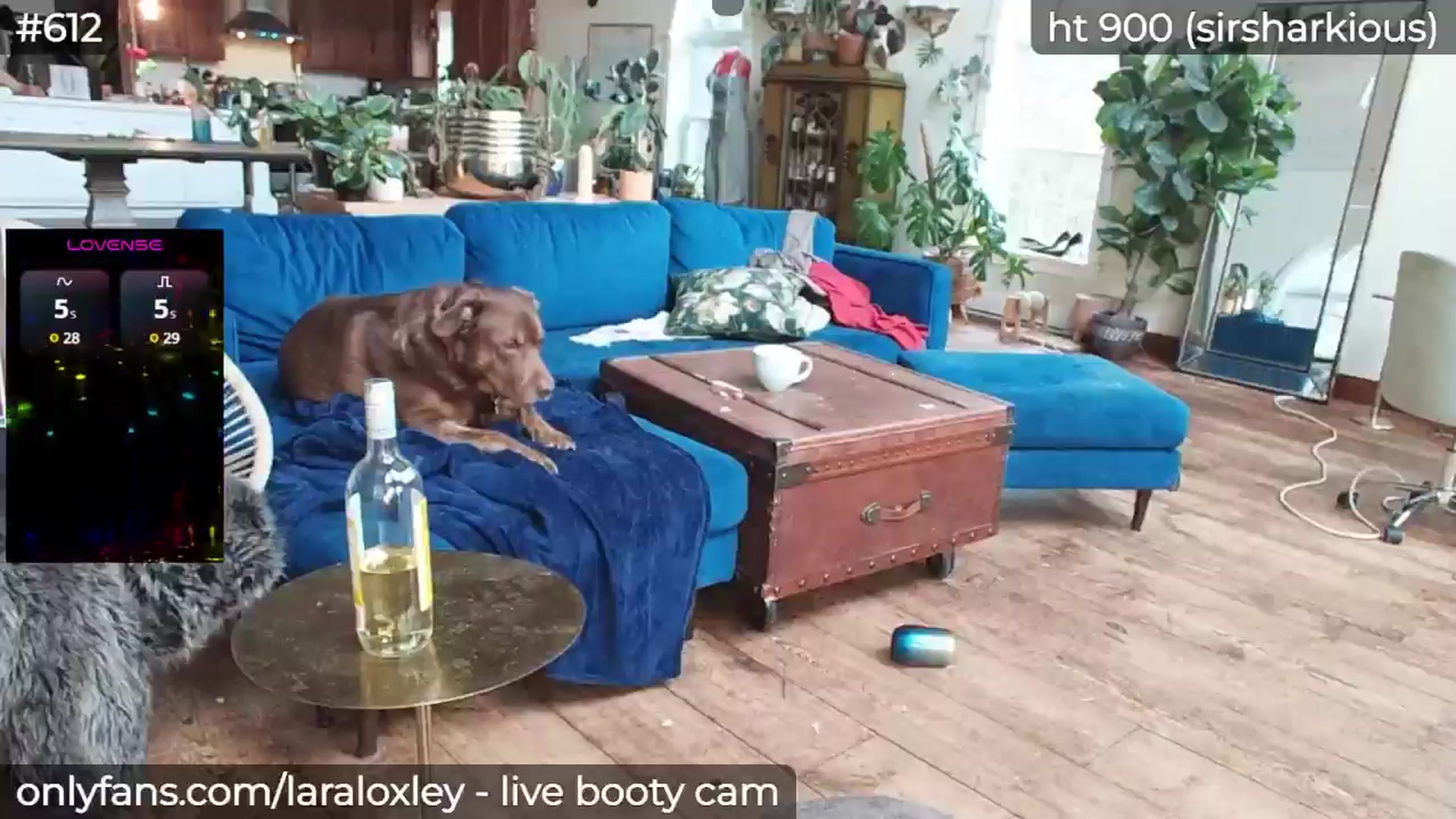 Gallery image thumbnail from LaraLoxley's myfreecams stream on, 04/22/2025, 22:37 image 18 of 20